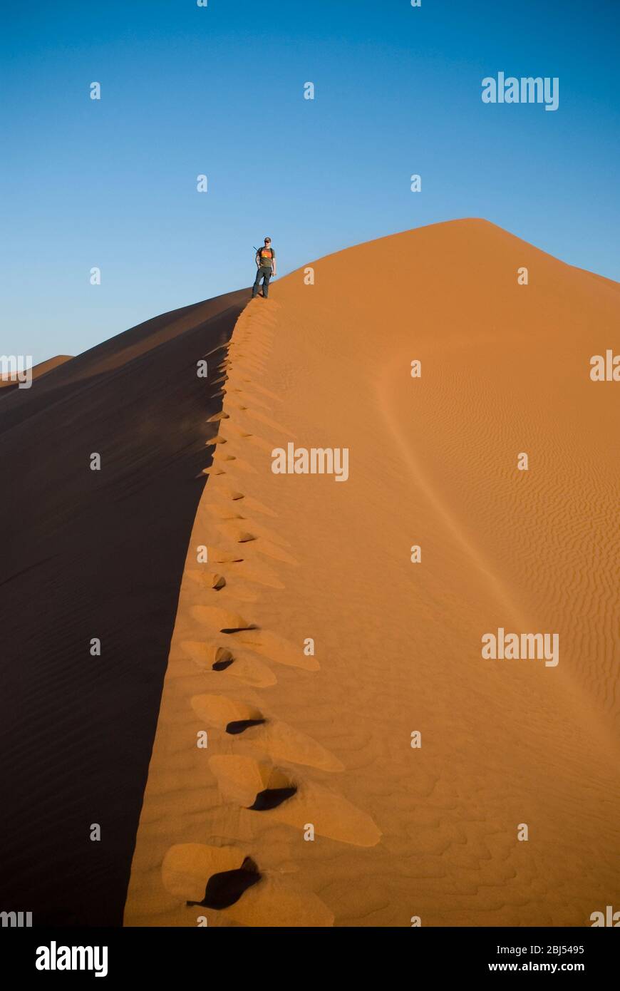 Ein einziger Mann klettert bei Sonnenuntergang in der Namid Wüste in Sossusvlei, Namibia, Afrika auf einer Sanddüne. Hochformat. Stockfoto