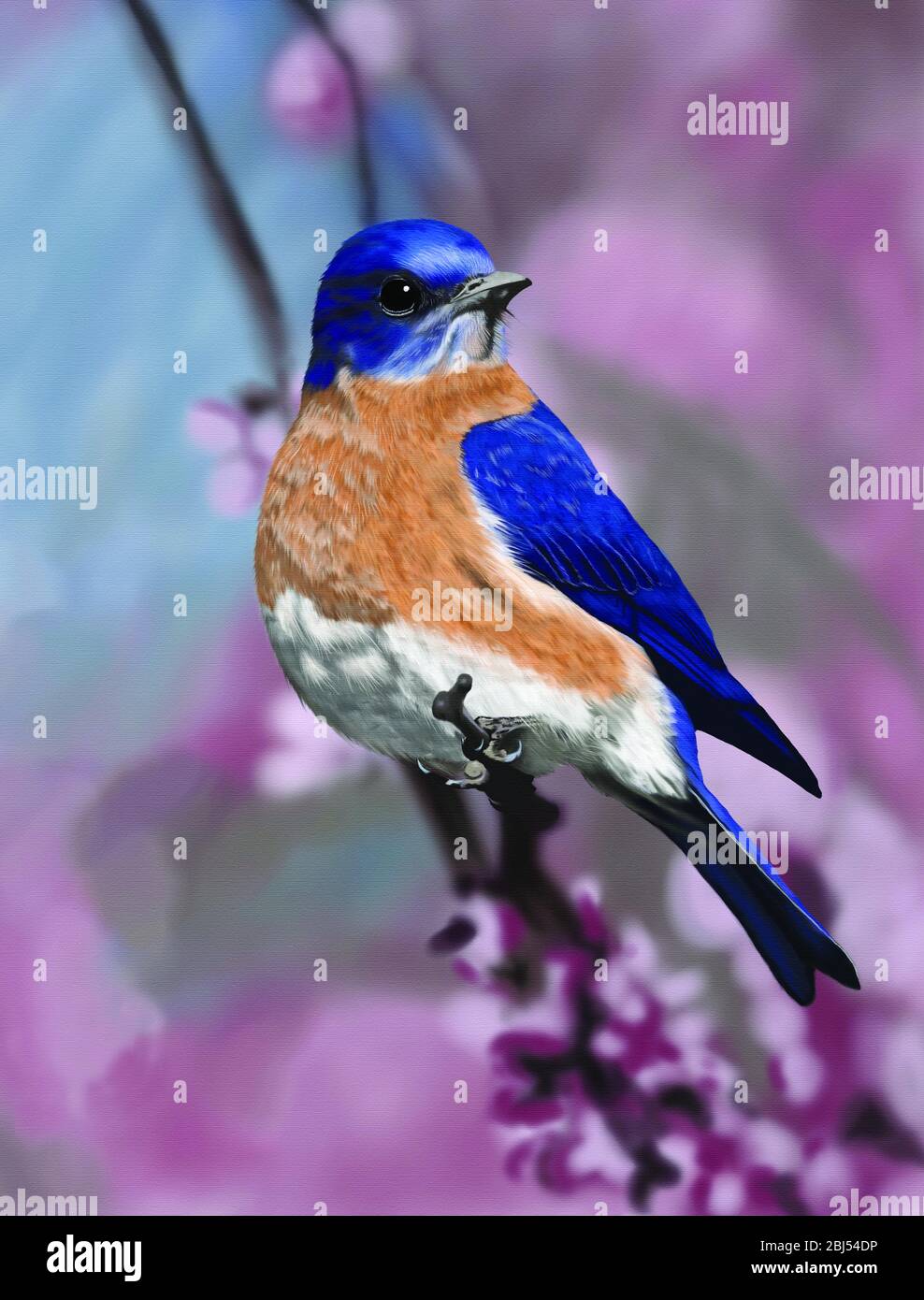 Happy Little Blue Bird. Die Blauvögel sind eine Gruppe von mittelgroßen, meist insektenfressenden oder allesfressenden Vögeln der Gattung Sialia der Drossel-Familie. Stockfoto