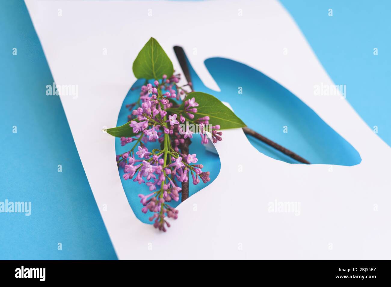 Konzept Papier Lungen mit Blumen und Blättern auf dem blauen Hintergrund. Minimal Papier Art. Coronavirus Covid 19 Konzept. Welttuberkulosetag oder Weltkulose L Stockfoto