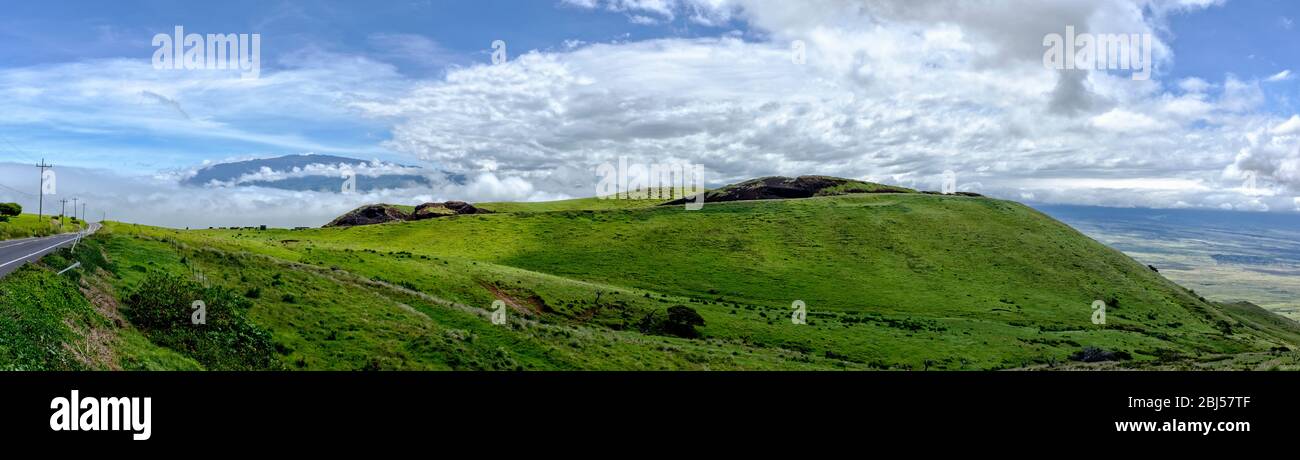Panorama auf dem Highway 250 nach Kamuela, HI. Mauna Kea entfernt und Schlackenkegel in der Nähe. Stockfoto