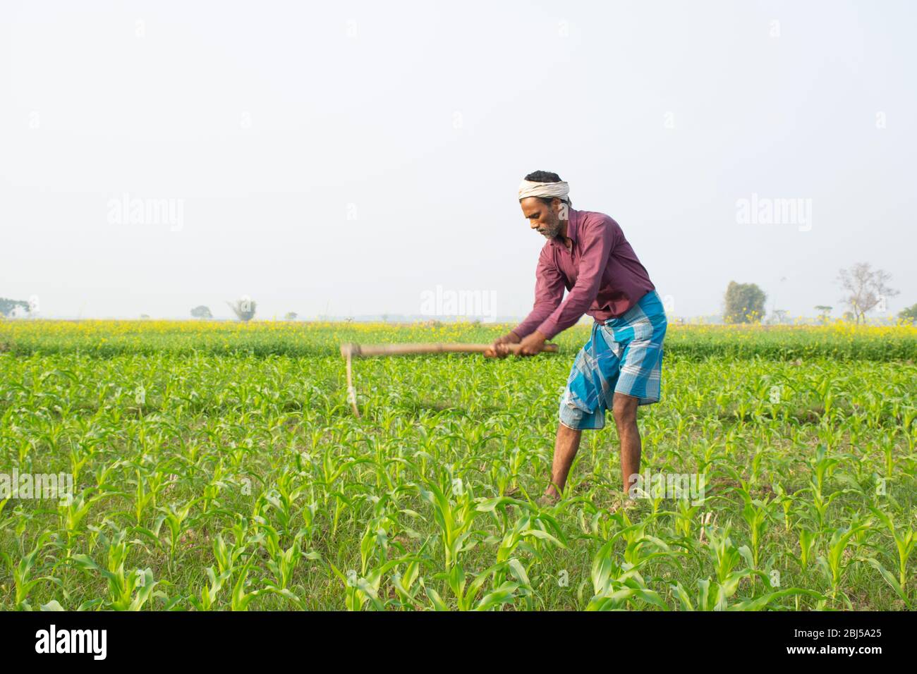 Indischer Bauer Stockfotos Und Bilder Kaufen Alamy