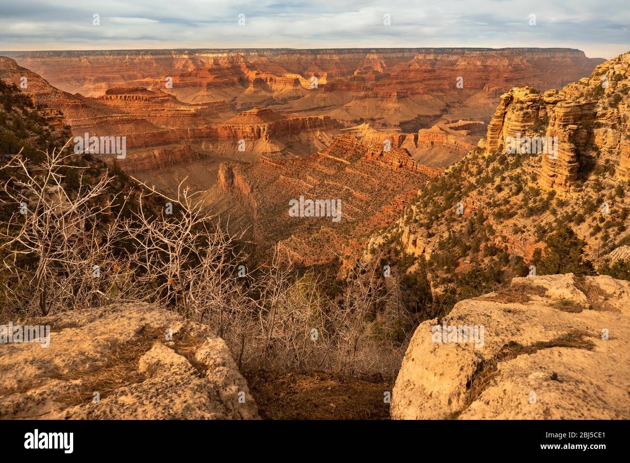 Blick auf den Grand Canyon vom Mather Point Touristenstopp am Südrand des Grand Canyon National Park. Stockfoto