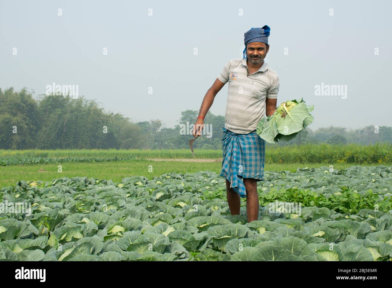 Landwirt, der landwirtschaftliche Arbeit auf dem Feld macht Stockfoto