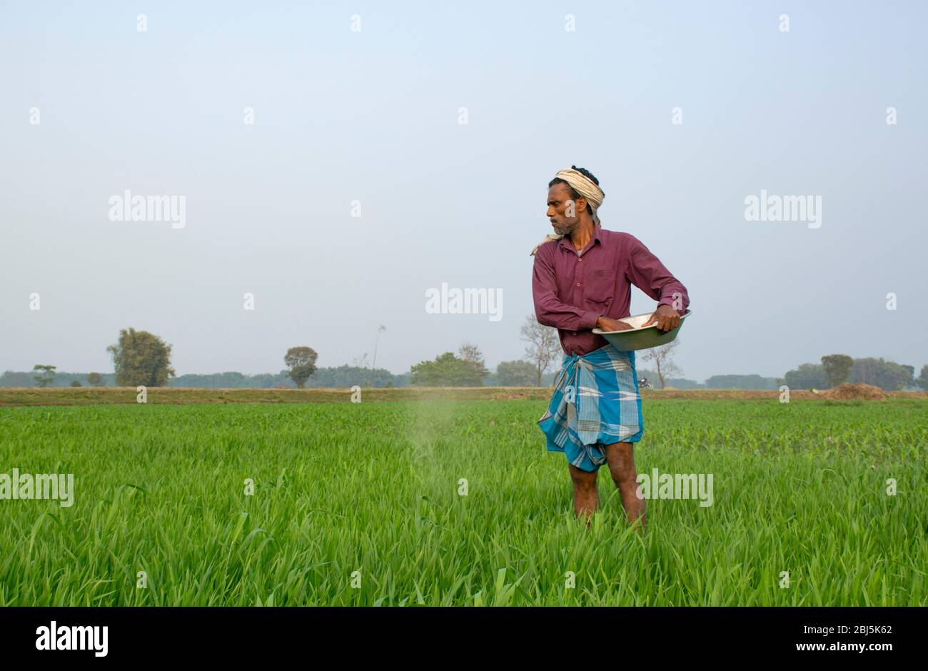 Landwirt Dünger auf dem Feld verteilen Stockfoto