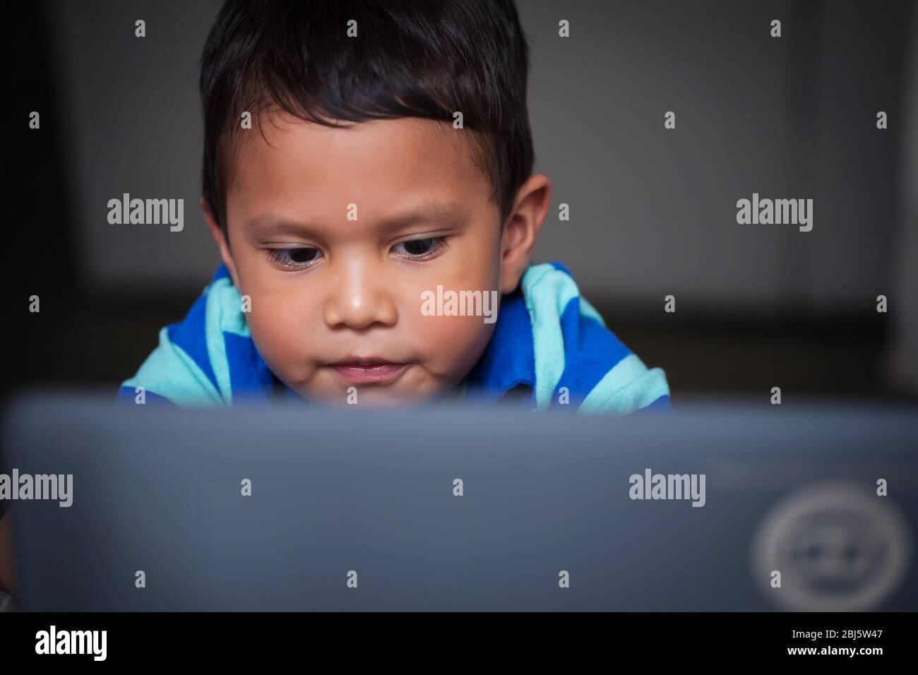 Ein dreijähriger Latino-Junge lernt zu Hause und bleibt konzentriert, während er ein Notebook benutzt. Stockfoto