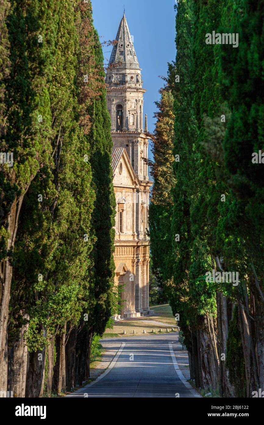 Kirche Madonna di San Biagio am Ende einer Zypressenreihe in der Nähe von Montepulciano, Toskana, Italien Stockfoto