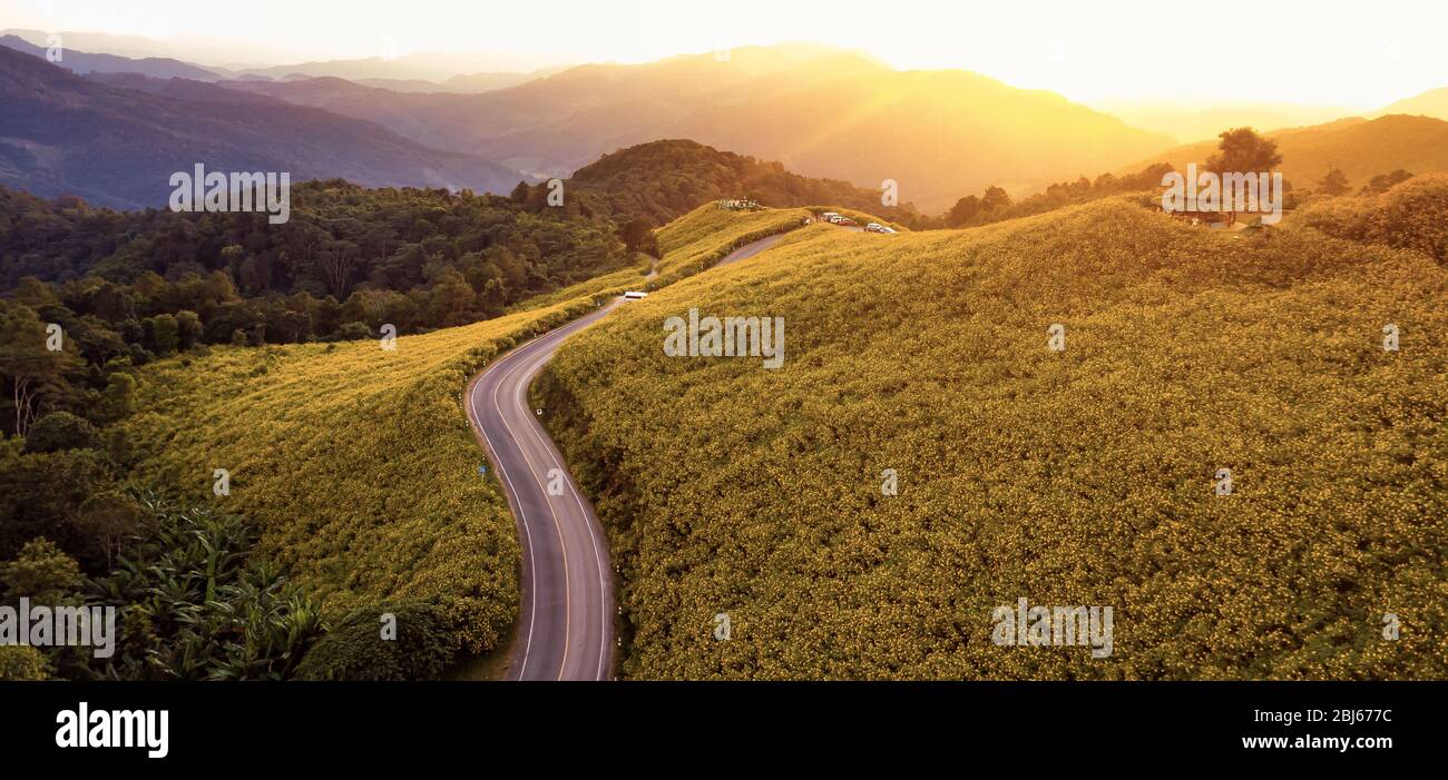 Luftbild Landschaft des Berges in der Dämmerung Zeit Natur Blume Tung Bua Tong Mexikanisches Sonnenblumenfeld, Mae Hong Son, Thailand. Stockfoto