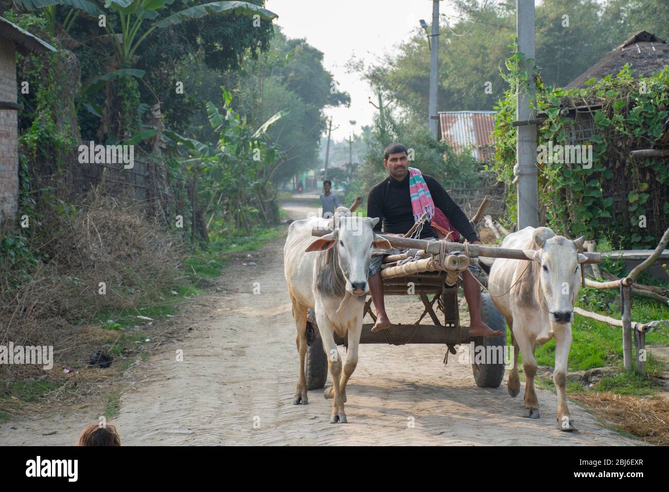 Indischer Mann auf einem Schelfwagen im ländlichen indischen Dorf Stockfoto