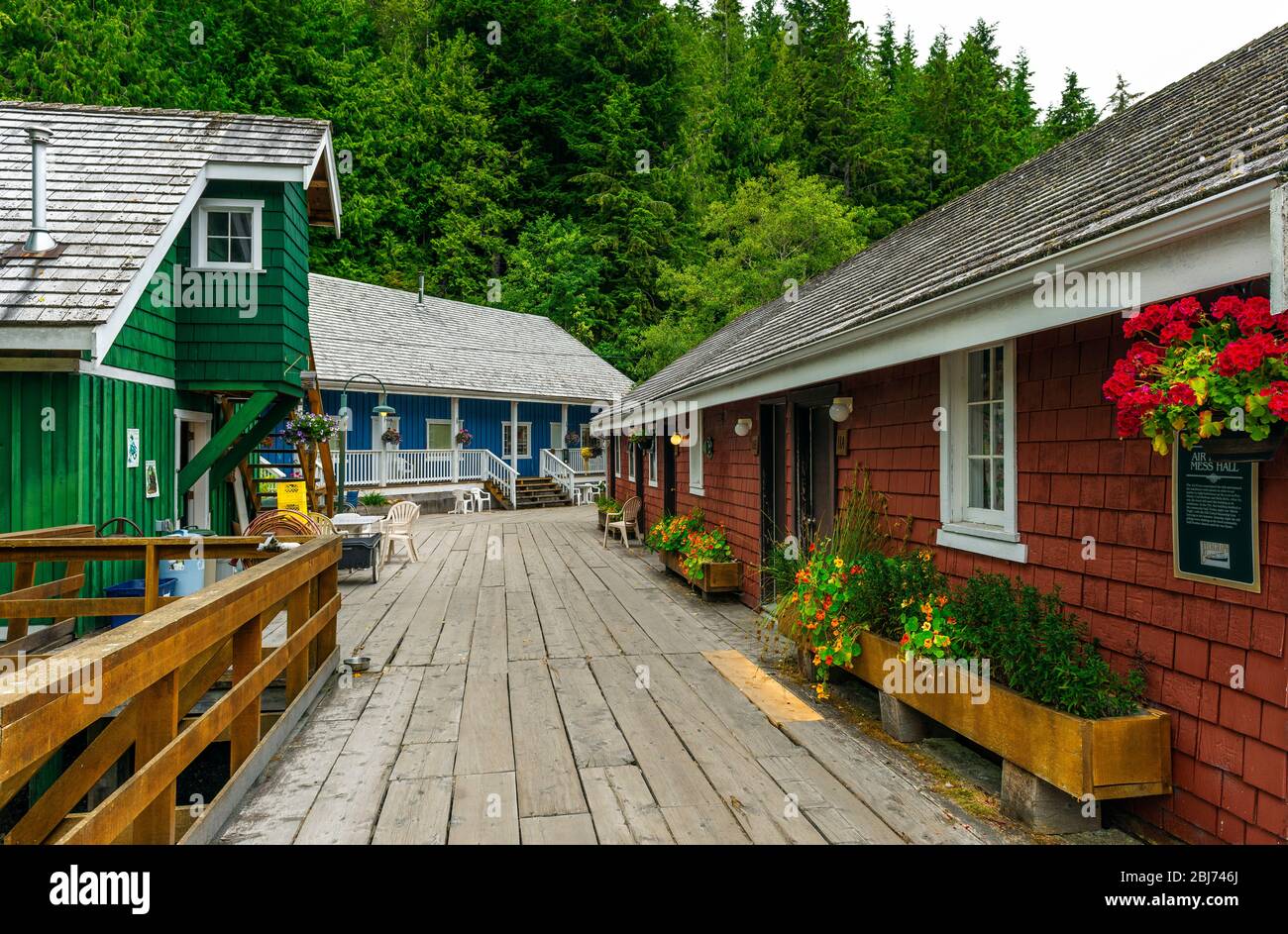 Bunte Straße in Telegraph Cove mit traditioneller kanadischer Architektur auf Vanvouver Island, British Columbia, Kanada. Stockfoto