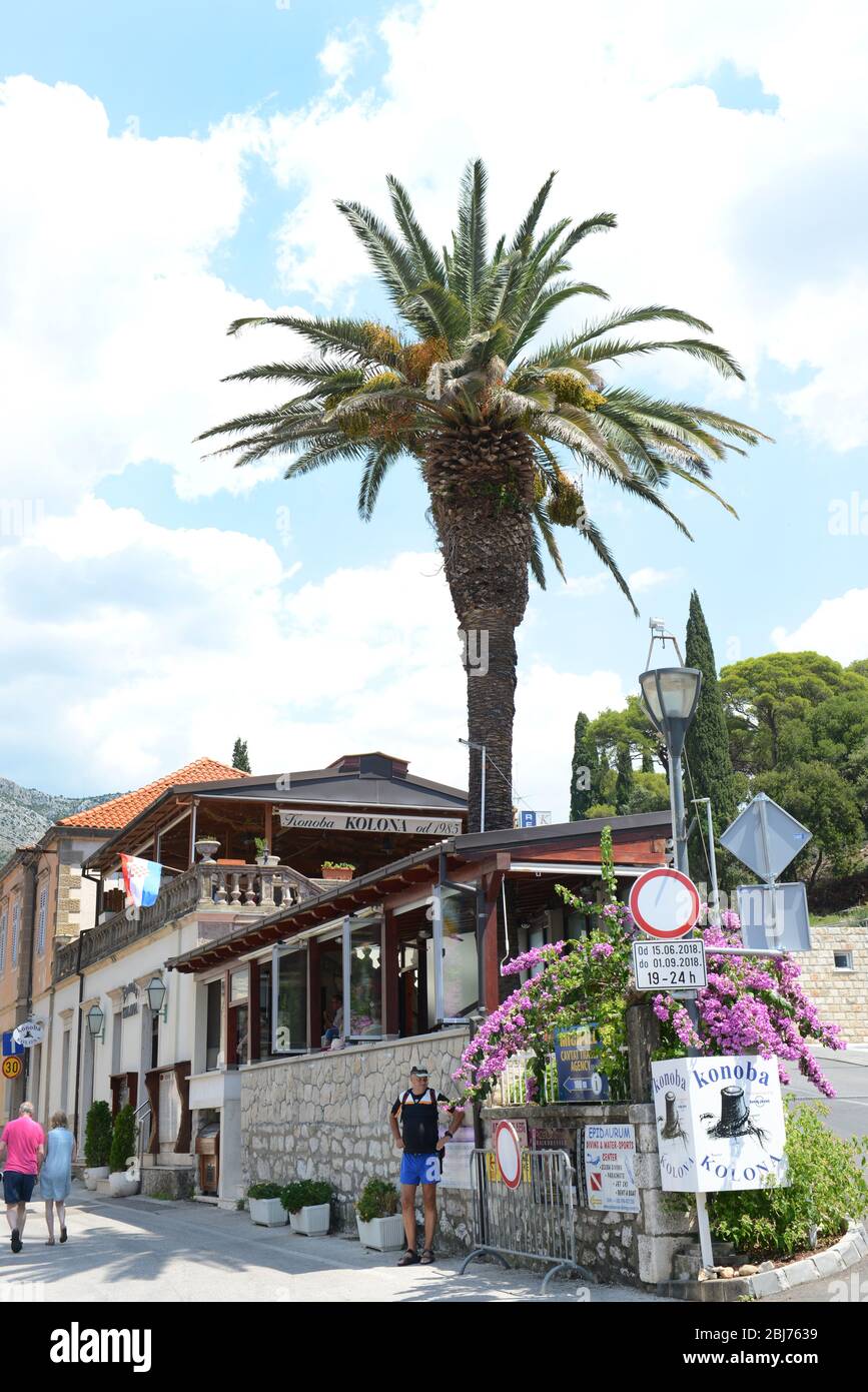 Tourist in Cavtat, Kroatien. Stockfoto Tourist in Cavtat, Kroatien. Stockfoto