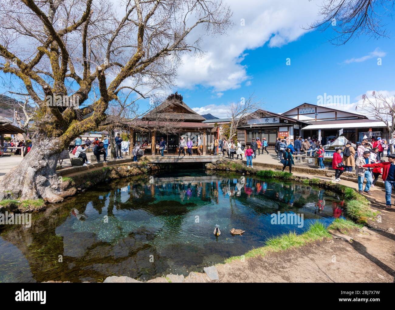 Touristen besuchen Oshino Hakkai, Japan Stockfoto