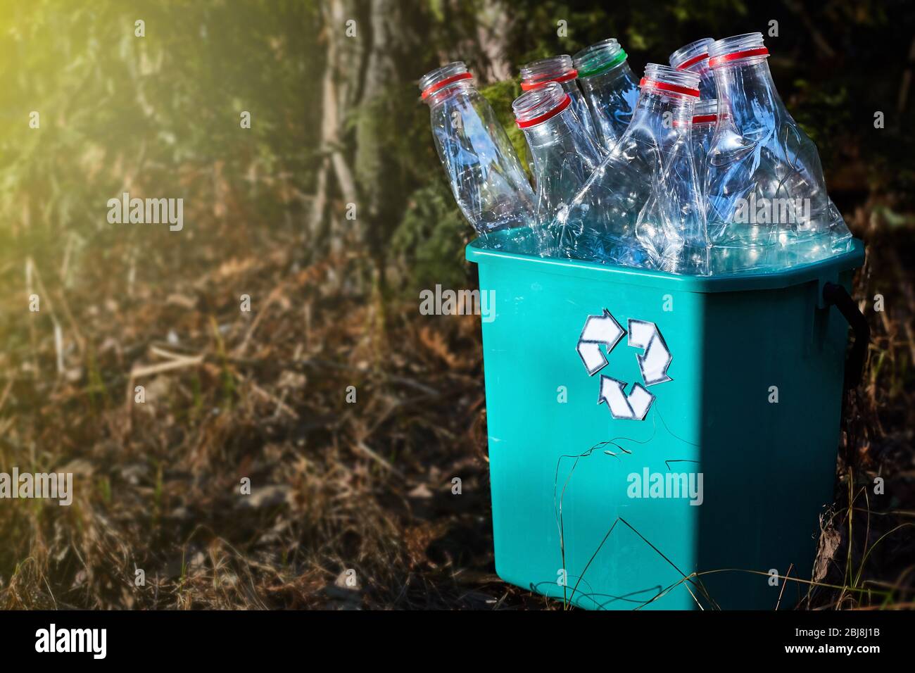Keine Verschwendung. Leere Plastikflaschen in einer Schachtel, die auf Recycling wartet. Das Konzept des Umweltbewusstseins. Copyspace. Stockfoto