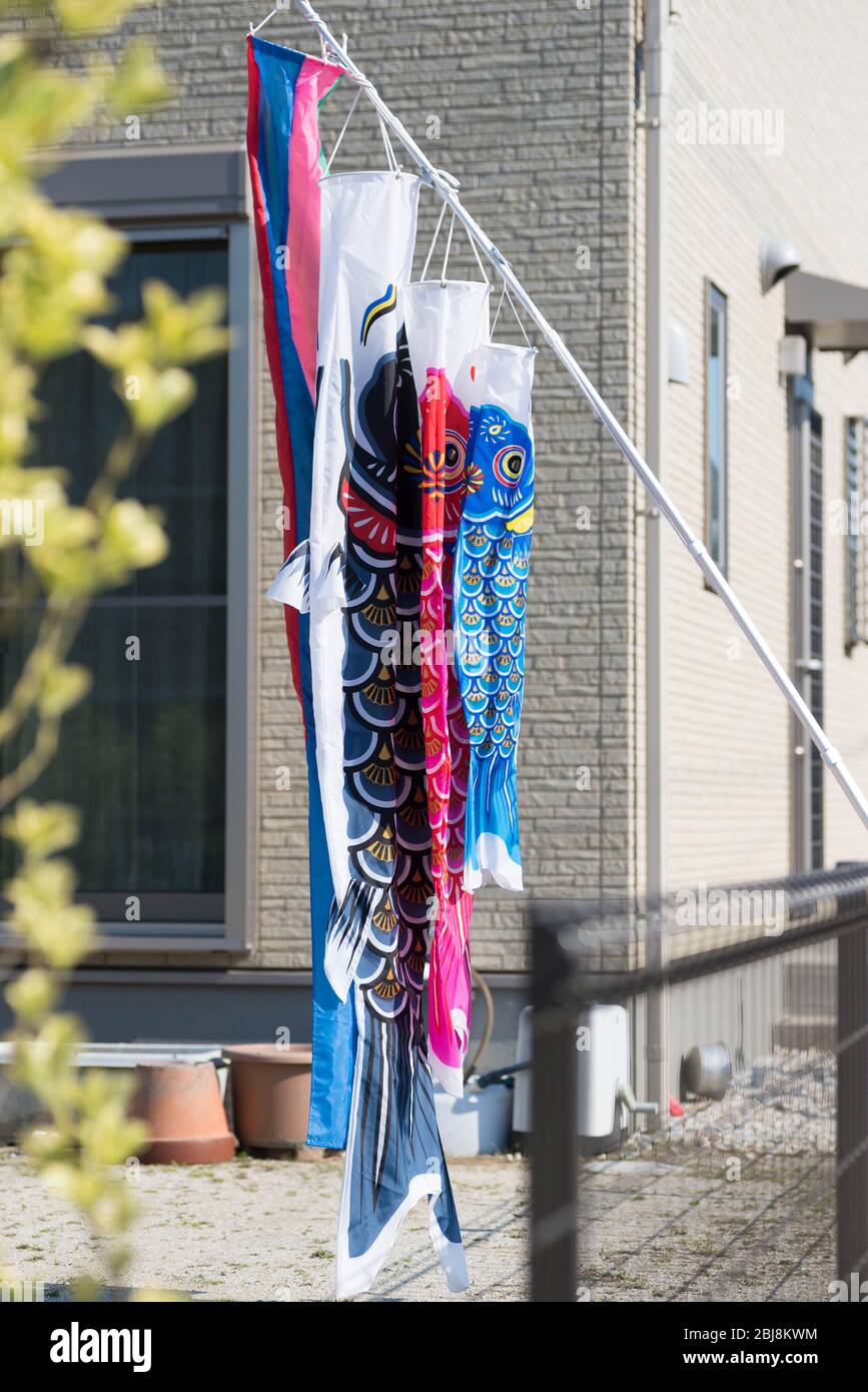 Banner von Koinobori oder Karpfen sind vor einem Haus in Japan ausgestellt, um den Kindertag oder Kodomo No Hi - ein offizieller Feiertag in Japan zu feiern. Stockfoto