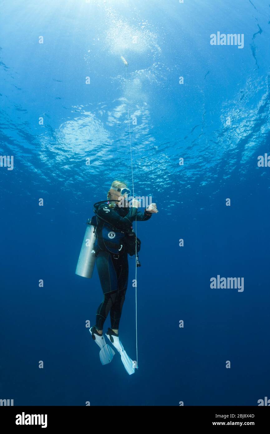 Scuba Diver, der Sicherheitsstopp macht, New Ireland, Papua-Neuguinea Stockfoto