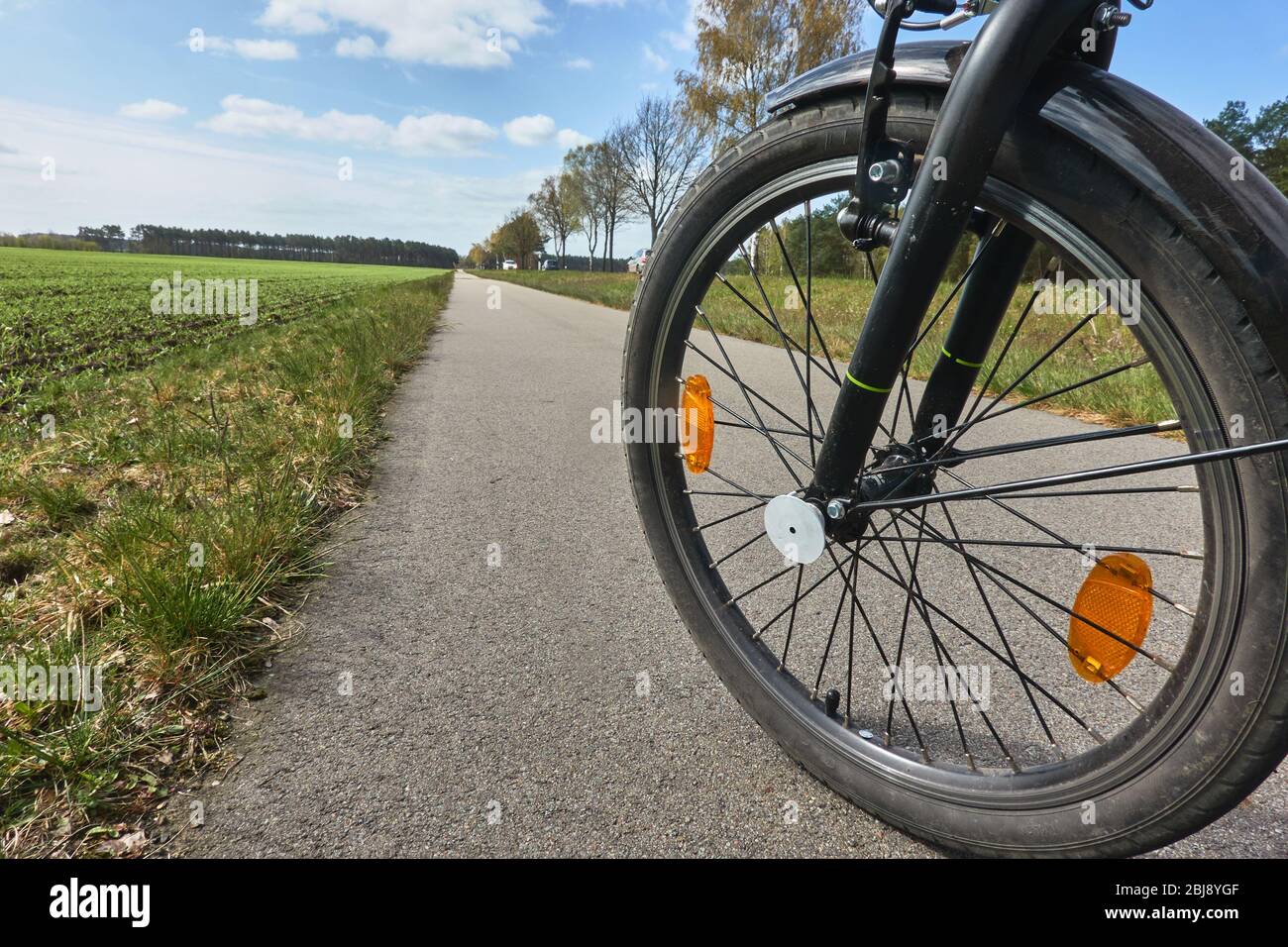Vorderrad eines Fahrrads auf einem gepflasterten Radweg, der neben einer Reihe von Bäumen in der Ferne verschwindet, Konzeptfoto für Fahrradtour Stockfoto