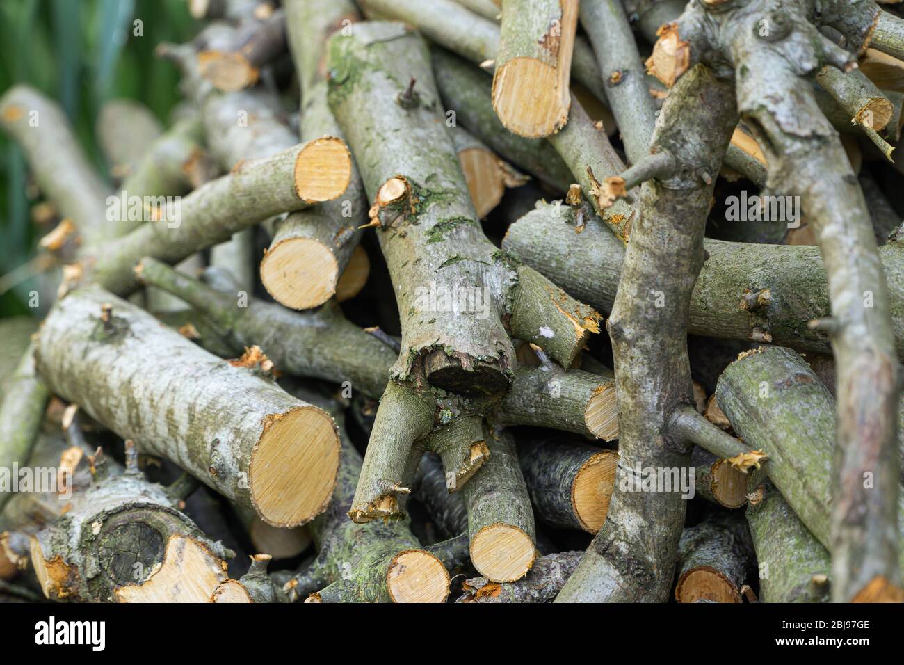 Stapel von Baumstämmen warten auf das Feuer oder draußen Chiminea gestellt werden Stockfoto