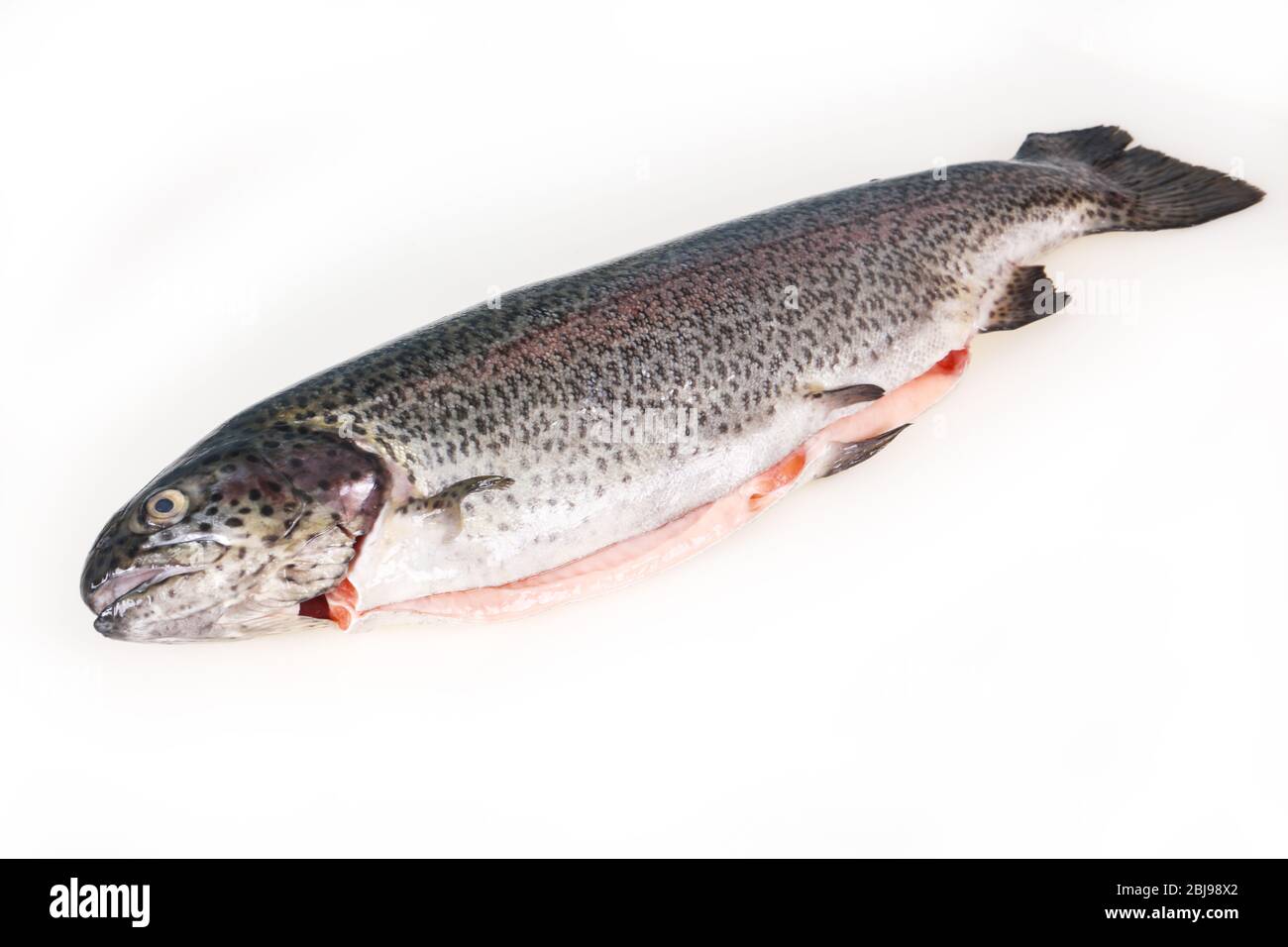 Rohe Forelle Fisch auf weißem Hintergrund Stockfoto