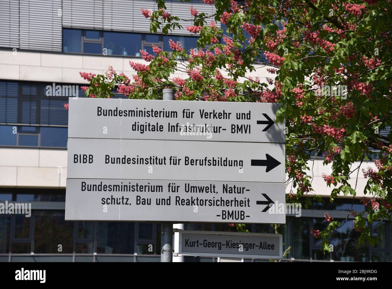 26. April 2020, Nordrhein-Westfalen, Bonn: Wegweiser zu Behörden und Ministerien in Bonn Foto: Horst Galuschka/dpa/Horst Galuschka dpa Stockfoto