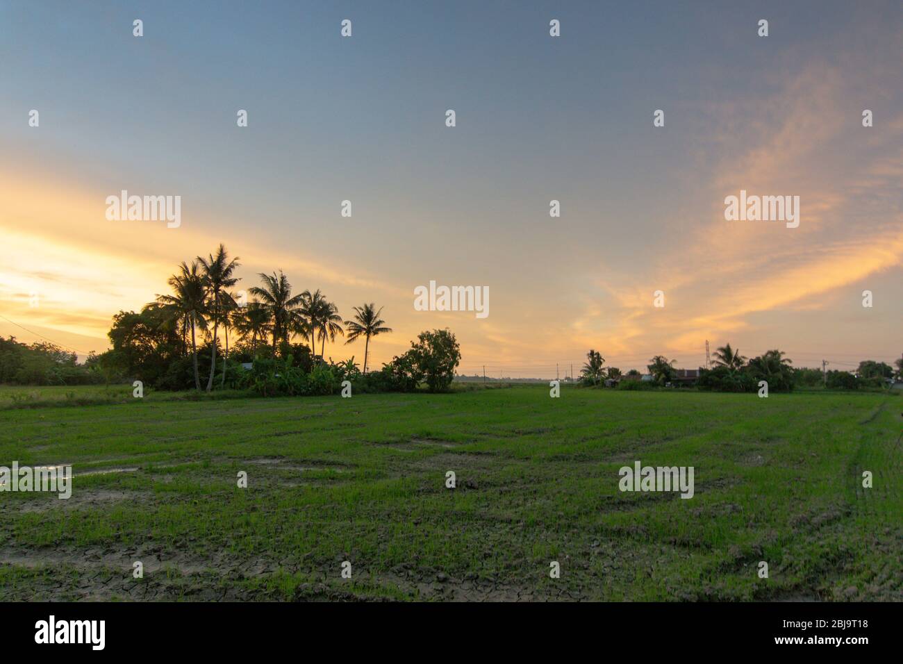 Landschaftlich schöner Blick über das Feld bei Sonnenuntergang in Bukit Mertajam, Penang. Stockfoto