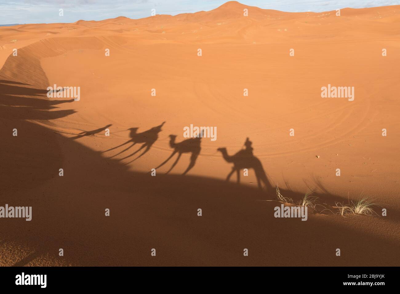 Kamel Schatten auf Sand Dünen während der Kamel Trek in der marokkanischen Sahara. Stockfoto