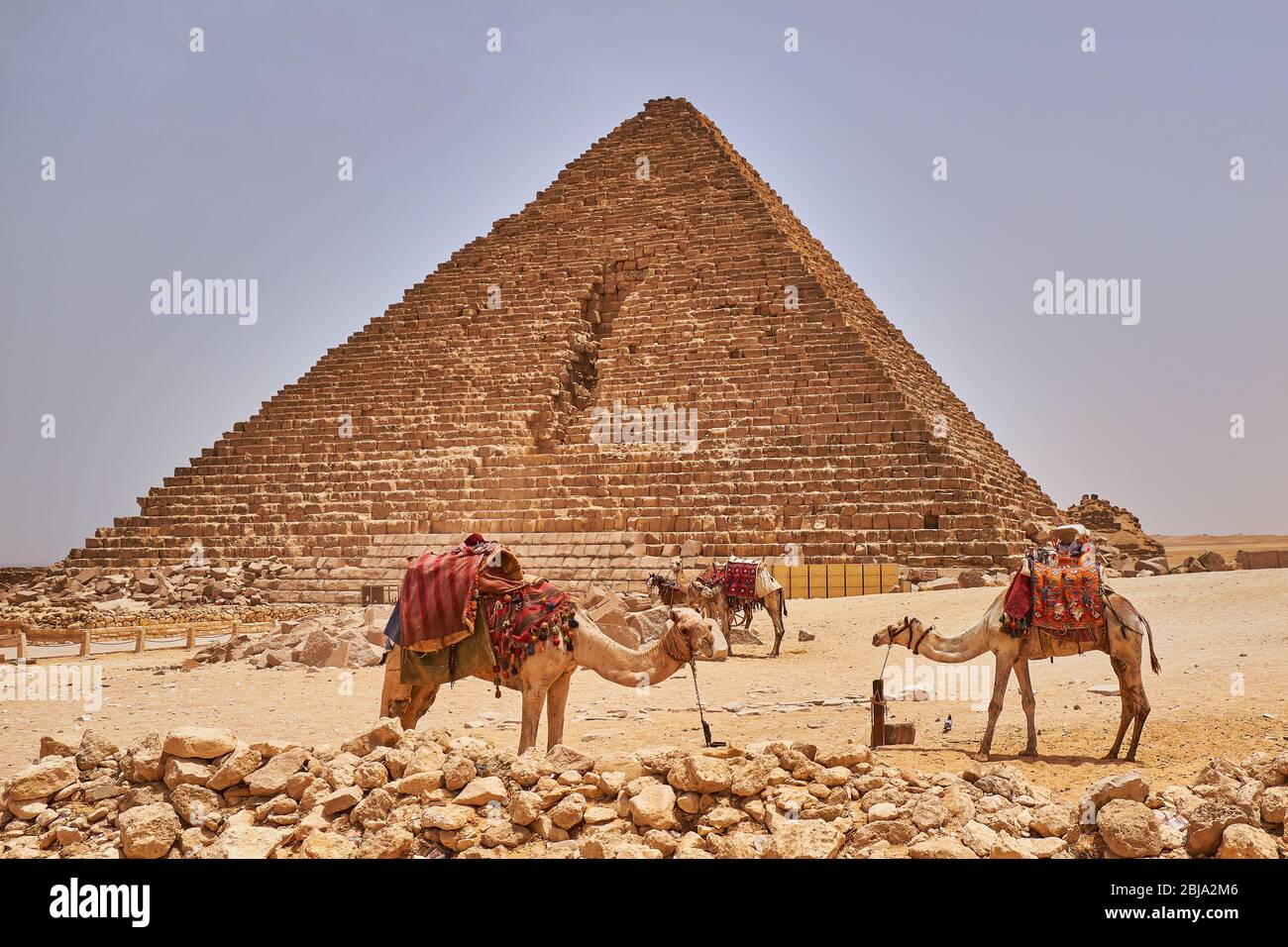 Kamele vor der Pyramide von Menkaure, der kleinsten der drei Pyramiden von Gizeh, Gizeh Plateau in Kairo, Ägypten Stockfoto