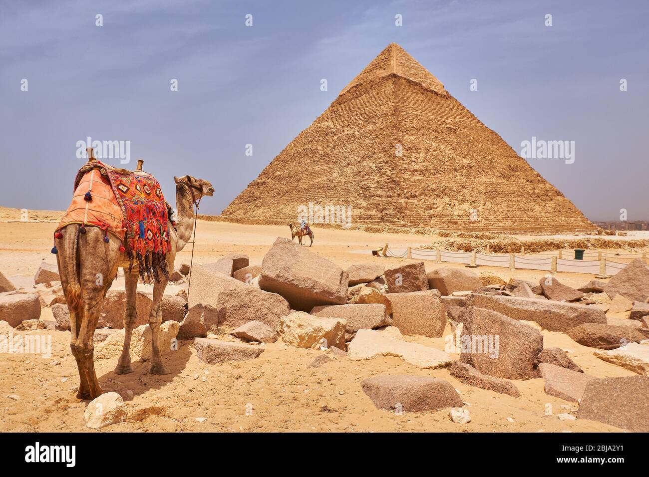 Kamel vor der Pyramide von Khafre (Pyramide von Chephren), die zweithöchste und zweitgrößte der altägyptischen Pyramiden von Gizeh in G Stockfoto