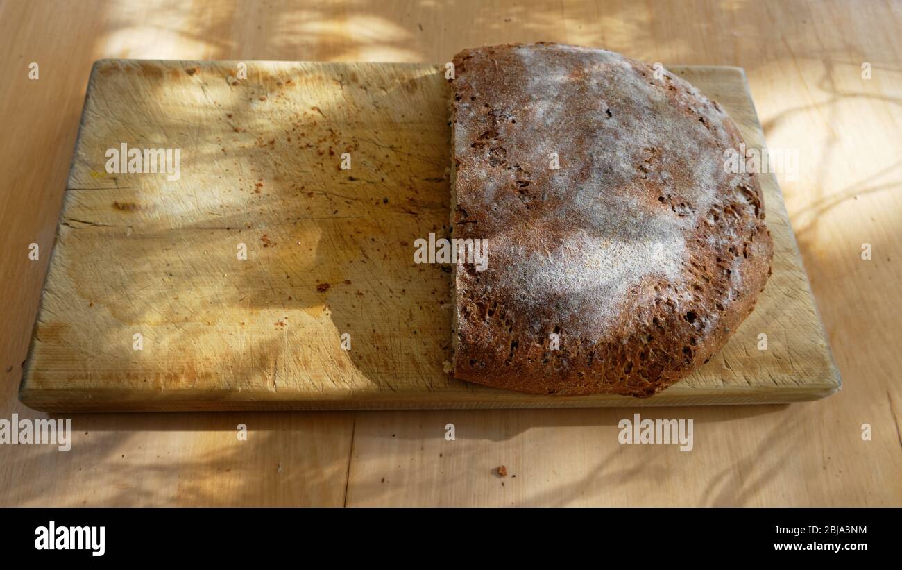 Frisch gebackenes Brot ist fertig zum Essen, es wurde auf einem hölzernen Brottafel serviert Stockfoto