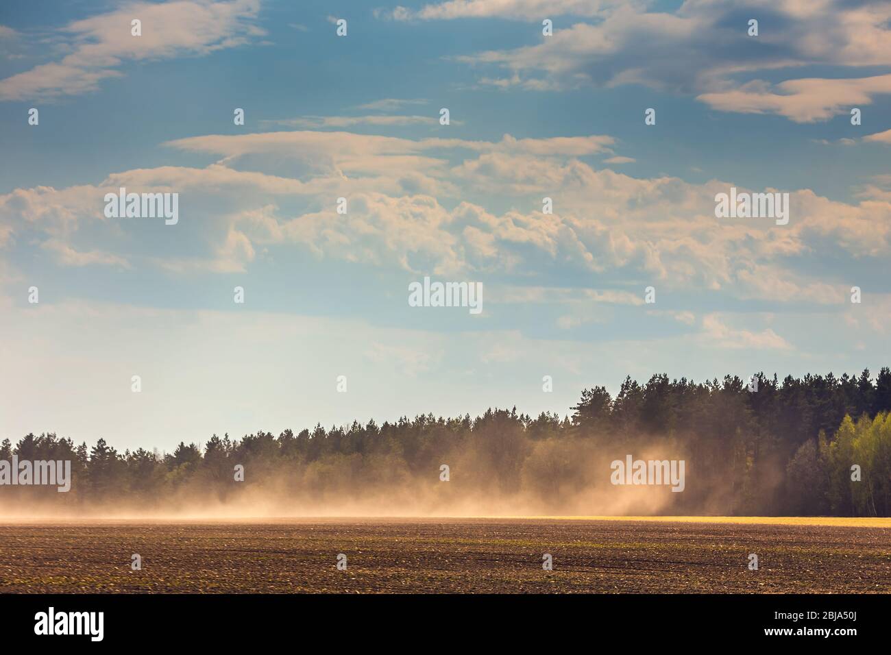 Staubsturm auf trockenen Feldern, trockenes Wetter durch den Klimawandel Stockfoto