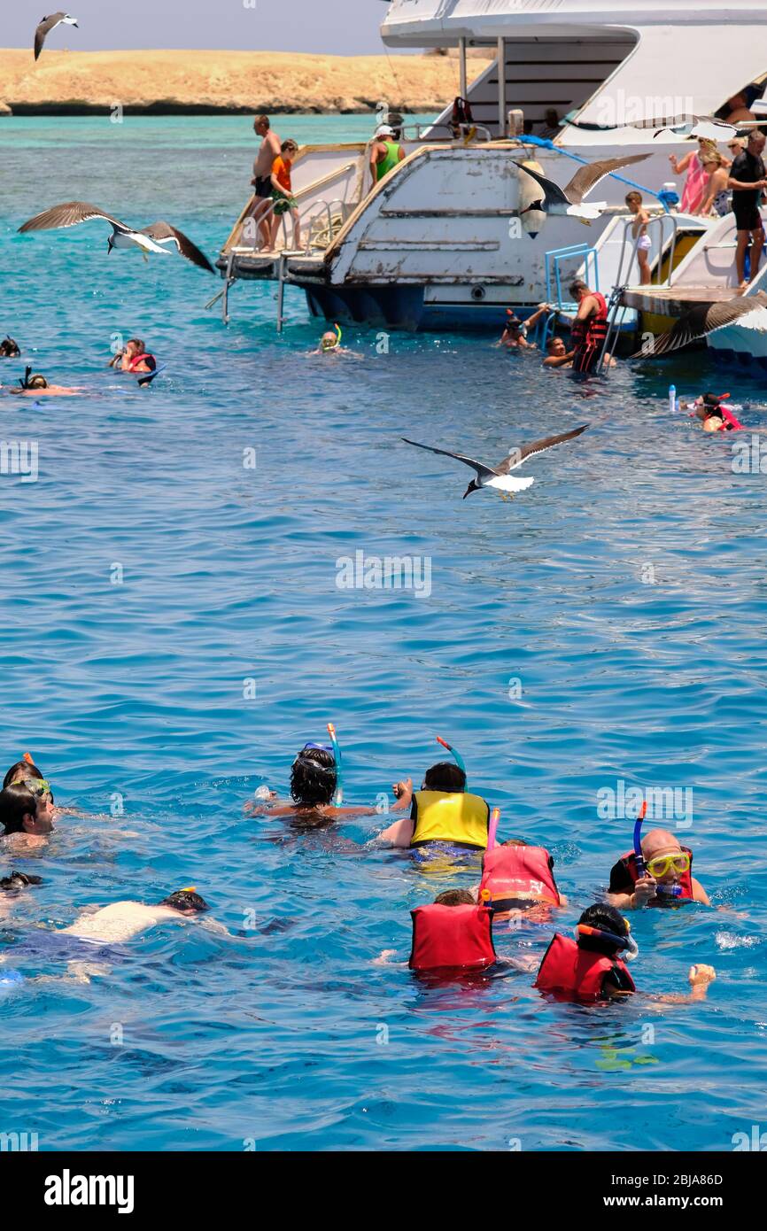 Hurghada / Ägypten - 21. Mai 2019: Gruppe von Touristen Schnorcheln und Tauchen in der Nähe von Giftun Insel im Roten Meer, Hurghada, Ägypten Stockfoto