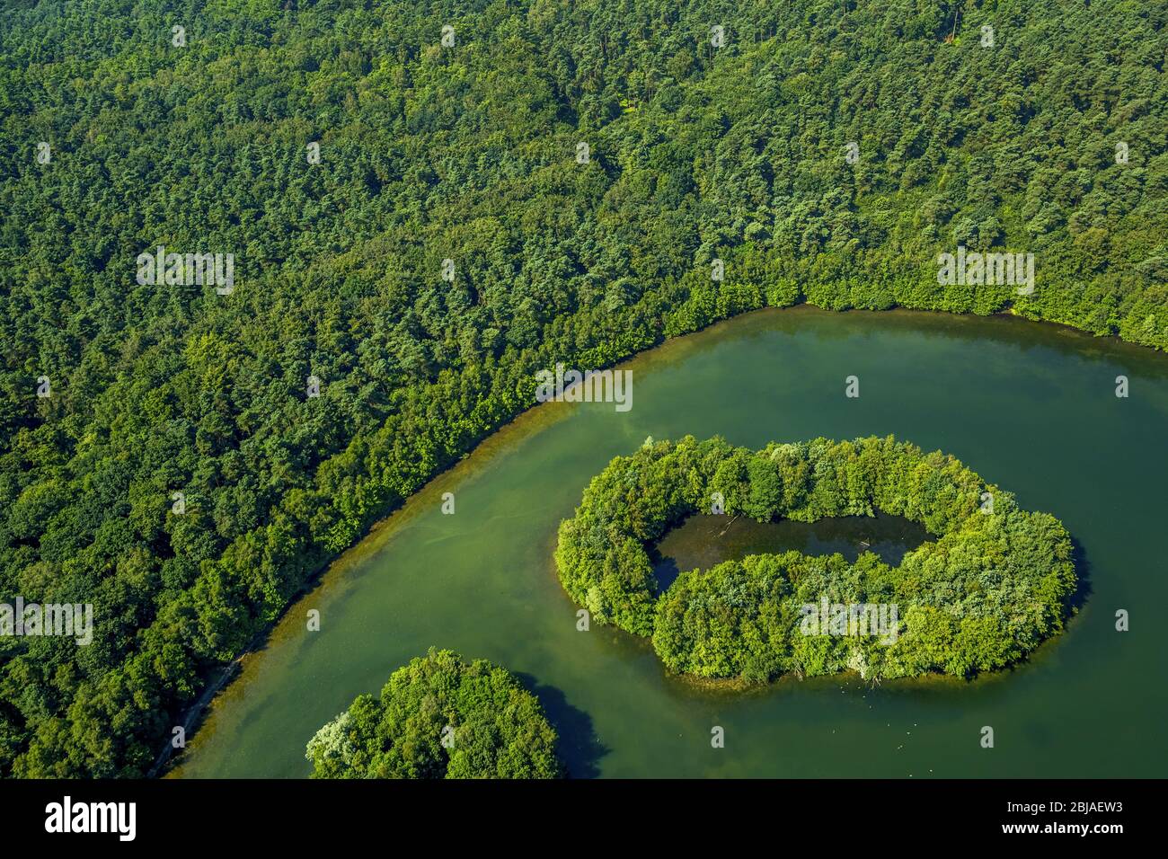 , Heidesee mit Insel in Grafenmühle, 19.07.2016, Luftaufnahme, Deutschland, Nordrhein-Westfalen, Grafenwald Stockfoto