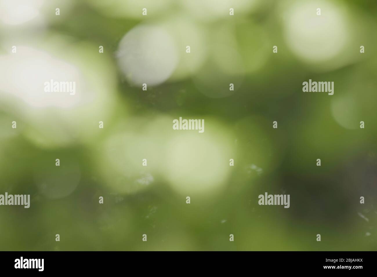 Bokeh Unschärfe-Hintergrund mit voller Farbe schöne Textur der Wirkung mit grünen Blatt Natur Kreis bunte Muster mit Raum Kunst Stockfoto