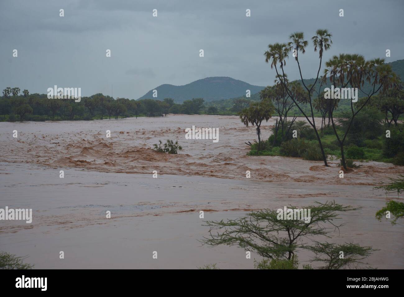Schlimmste Überschwemmungen seit 50 Jahren in Samburu/Buffalo Springs. Ewayiso Nyrio Fluss überflutet Banken und Lodges wie Ashnil Samburu. Evakuierung mit Hubschraubern Stockfoto