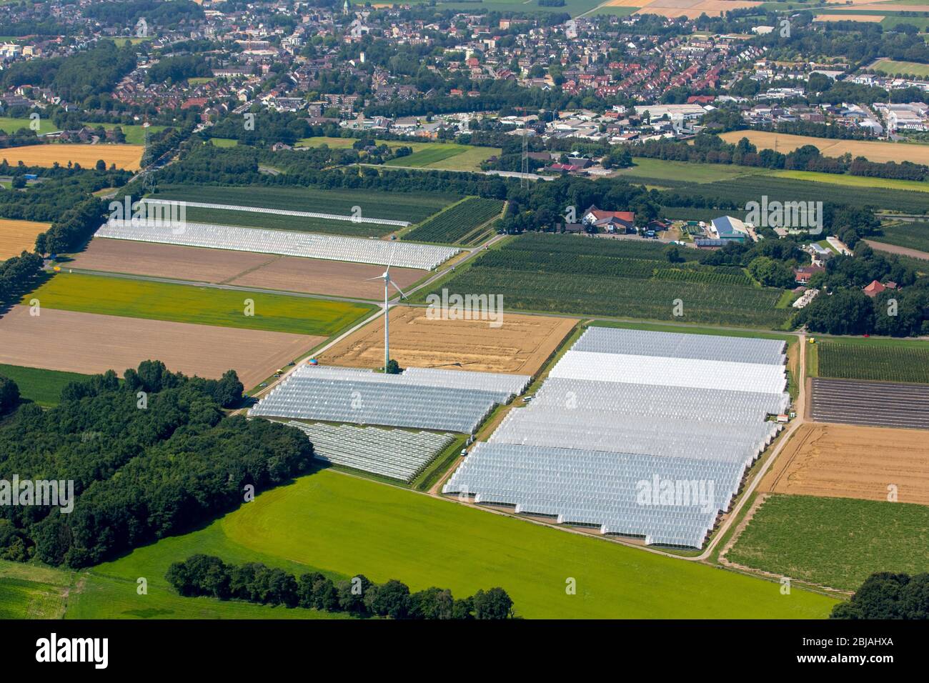 Glasdächer von Gewächshäusern auf einem Feld zwischen den Höfen Hof Umberg und Schmuecker Hof bei Kirchhellen, 19.07.2016, Luftaufnahme, Deutschland, Nordrhein-Westfalen, Ruhrgebiet, Bottrop Stockfoto