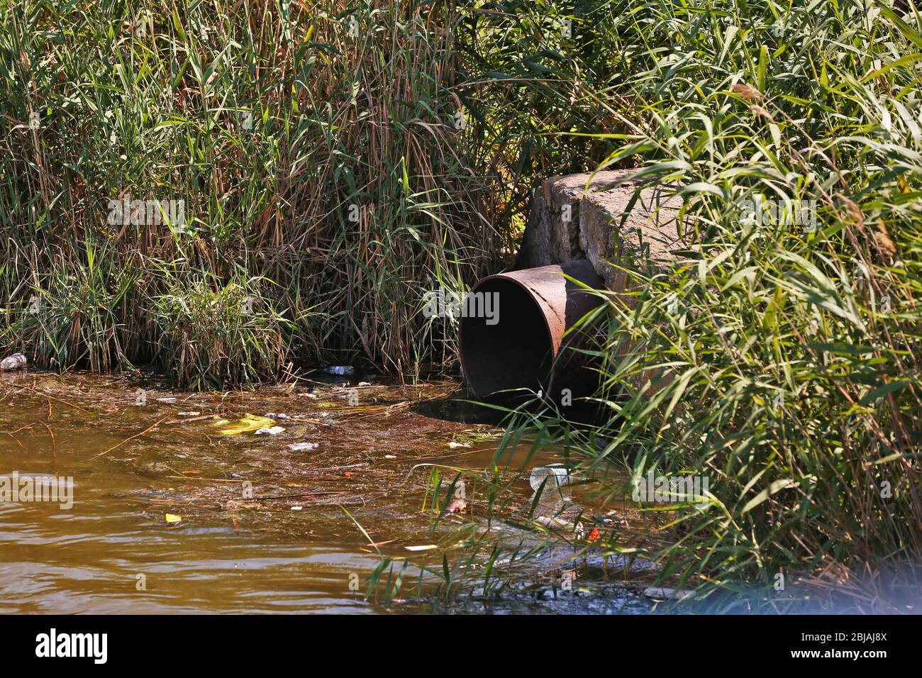Wasserverschmutzung durch Abwasserleitung Stockfoto