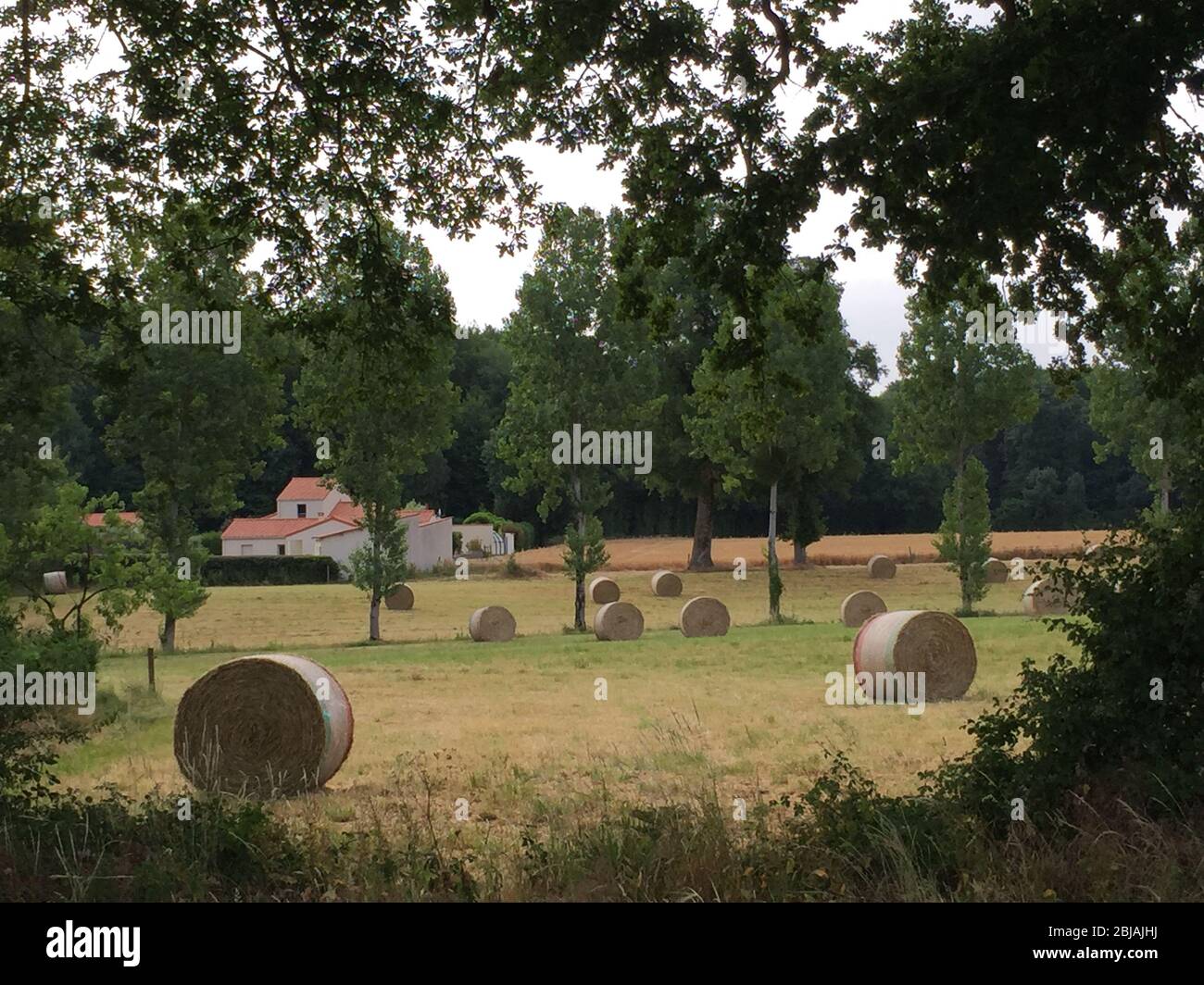 Heubälle In Der Französischen Landschaft ' Stockfoto