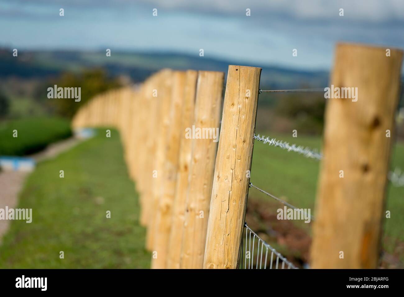 Eine Reihe von hölzernen Zaunpfählen, die eine Feldgrenze in Cumbria, England markieren. Stockfoto