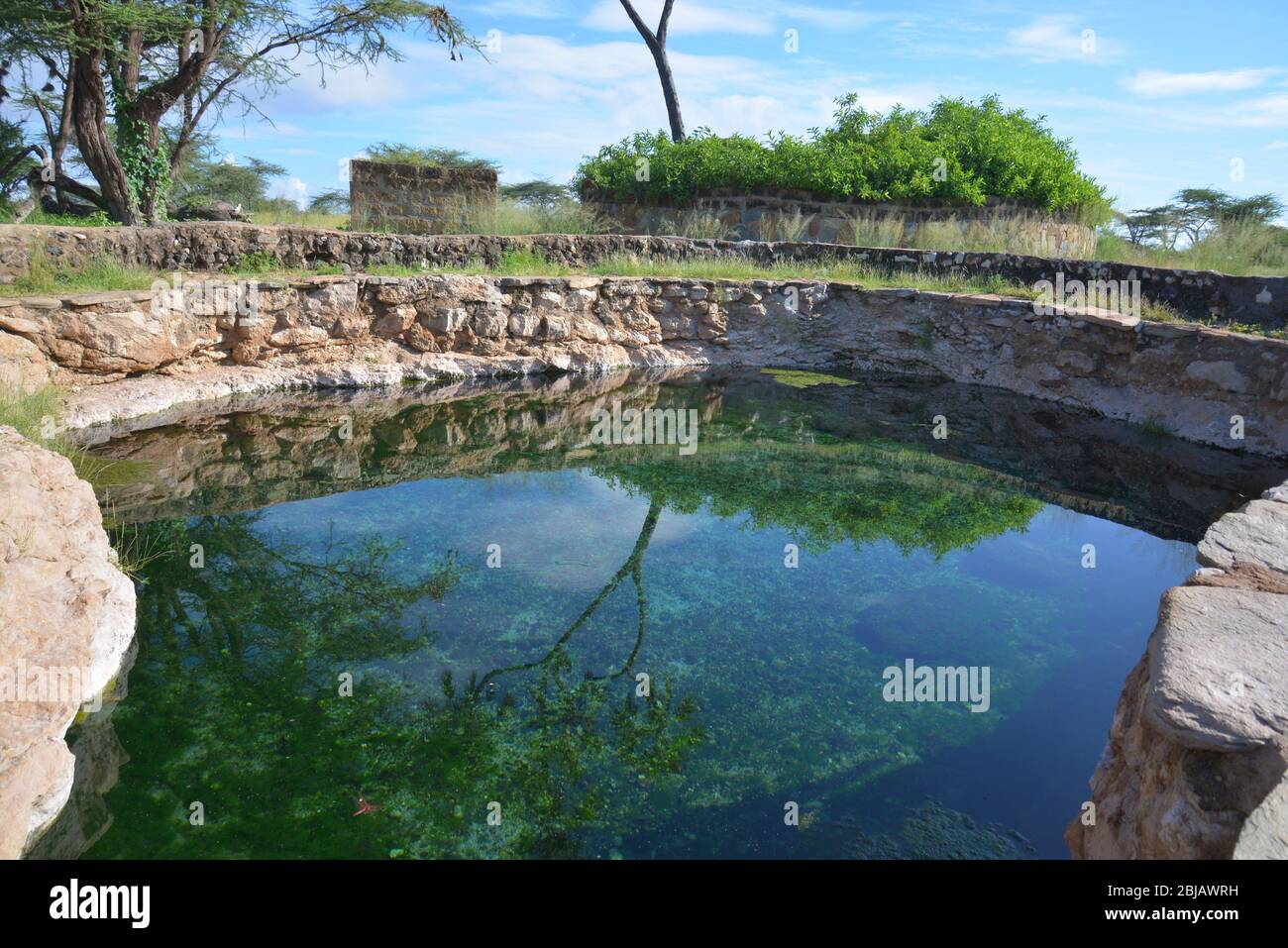 Buffalo Springs Naturbrunnen, Kenia Ostafrika Stockfoto