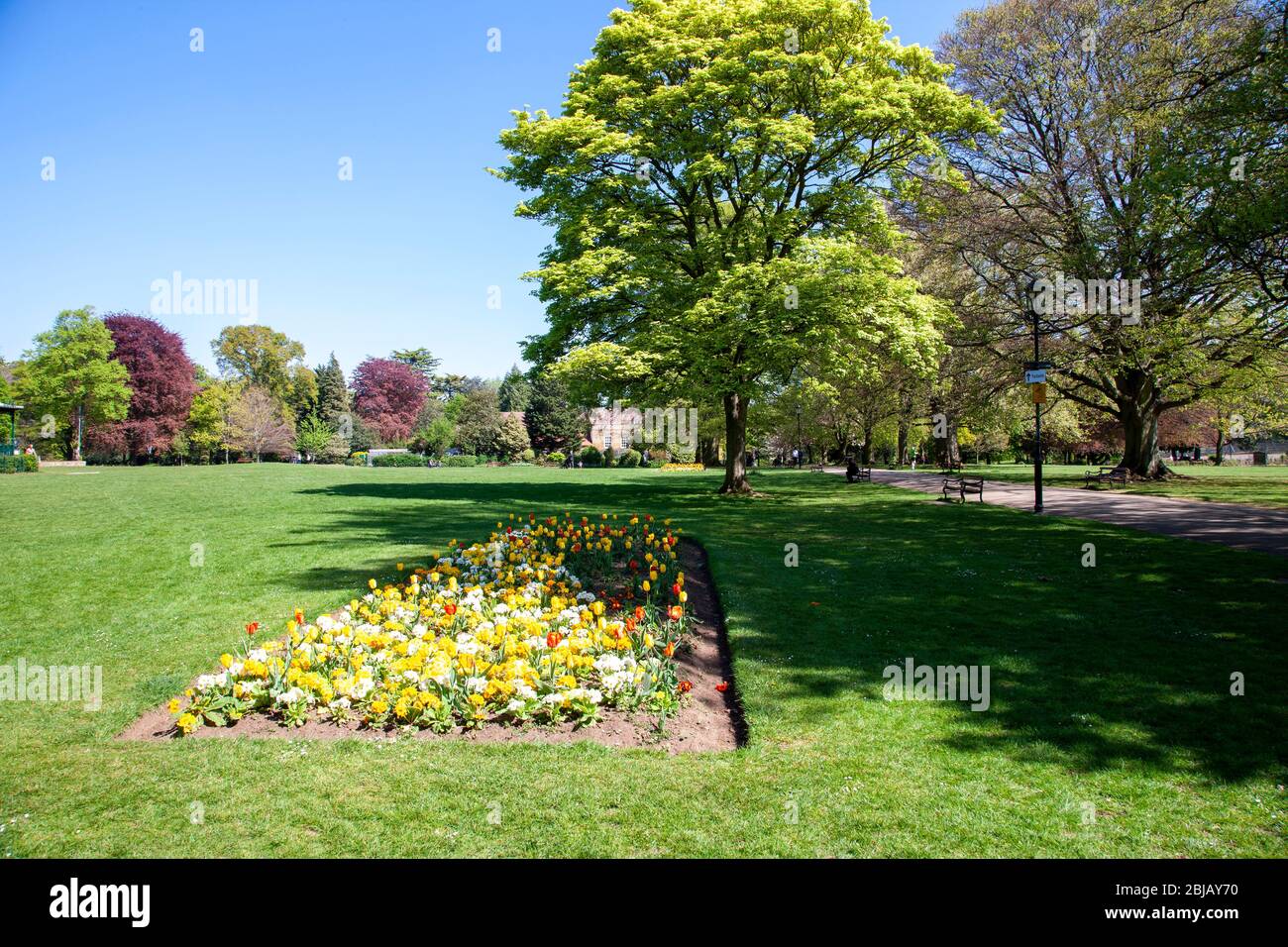 Sonniger Nachmittag in Abington Park, Northampton mit den Blumenbeeten in voller Farbe und klarem Himmel über uns. Stockfoto