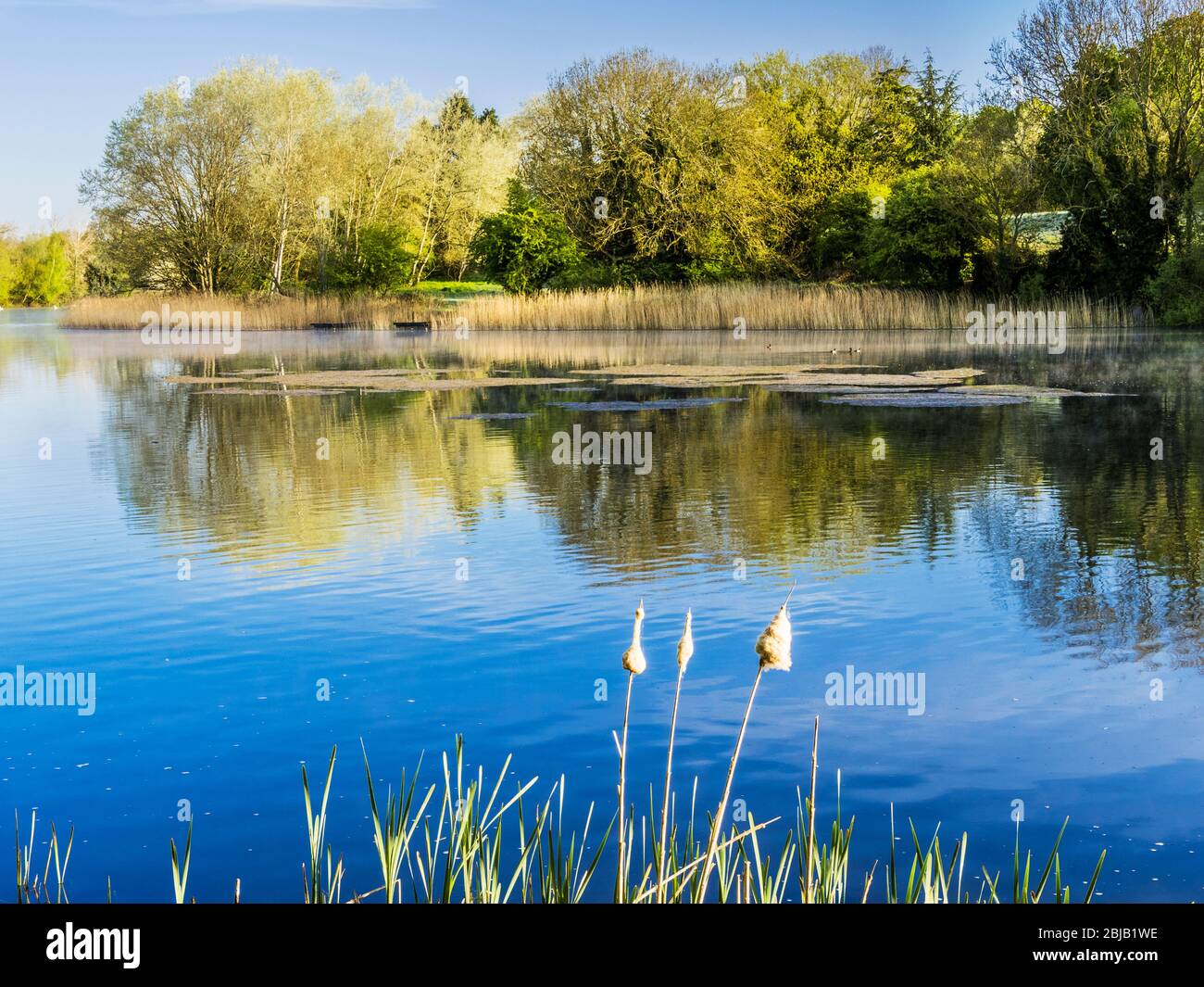 Ein sonniger Frühlingsmorgen im Coate Water in Swindon. Stockfoto