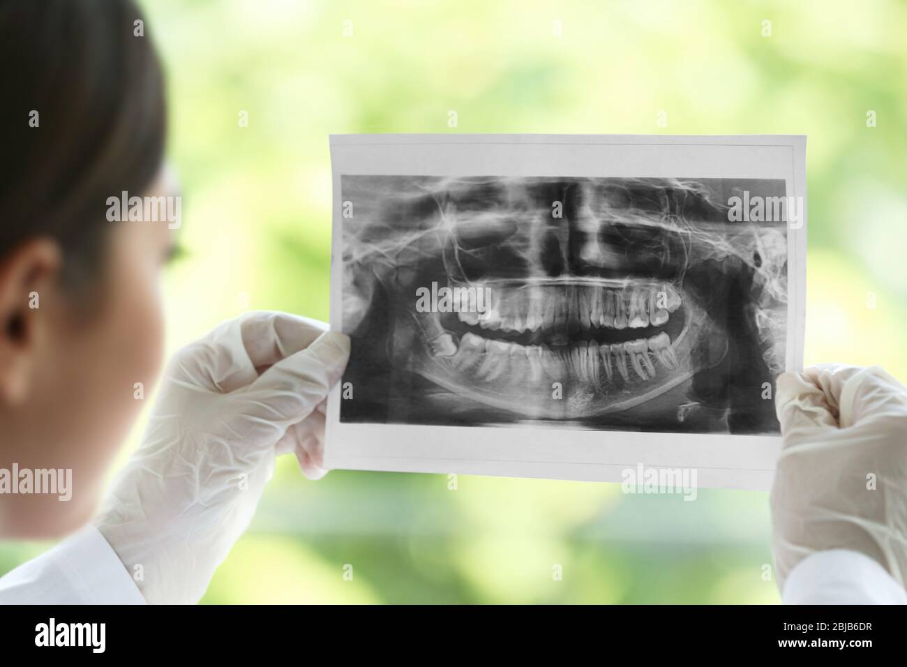 Zahnarzt mit Blick auf die zahnärztliche Rögenographie Stockfoto