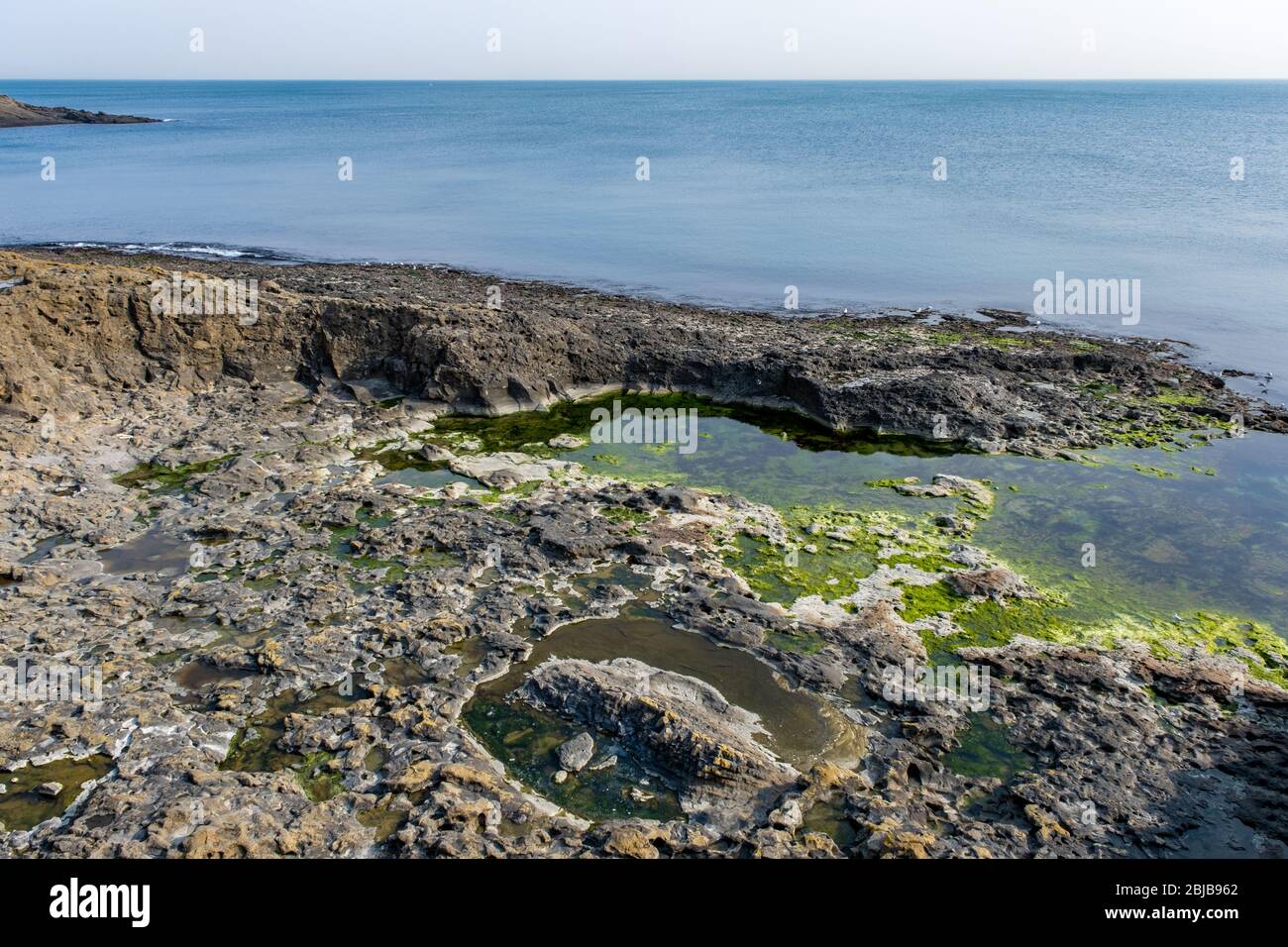 Moosige Küste und Felsen, ruhige Szene Meer Natur Stockfoto