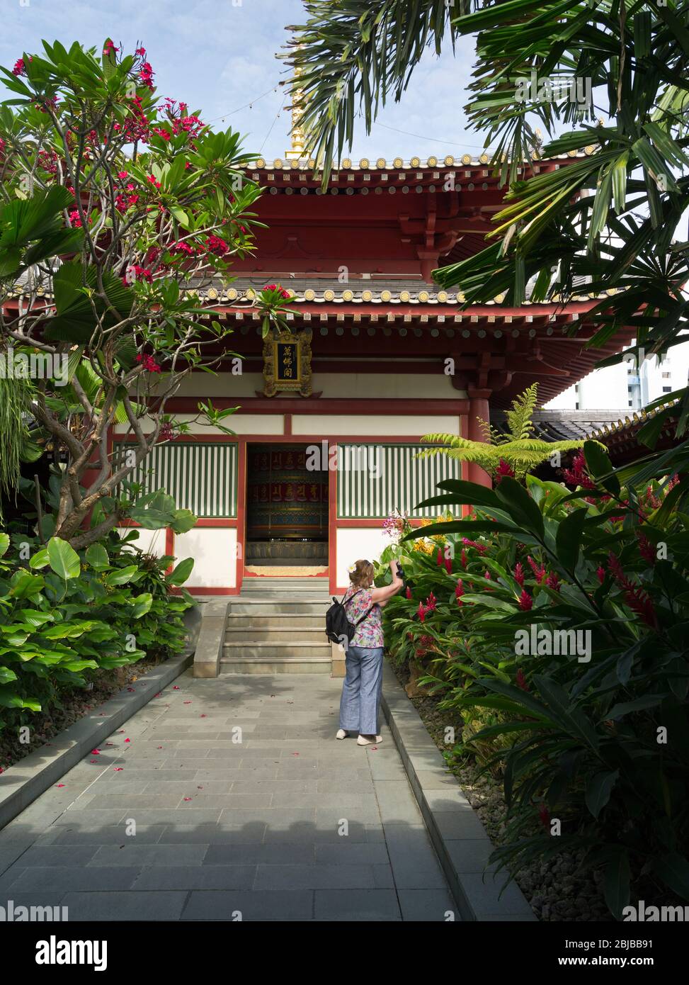 dh Buddha Tooth Relic Tempel CHINATOWN SINGAPUR Frau Touristen Buddhistische Tempel Museum Dach Garten Erbe Gärten Stockfoto