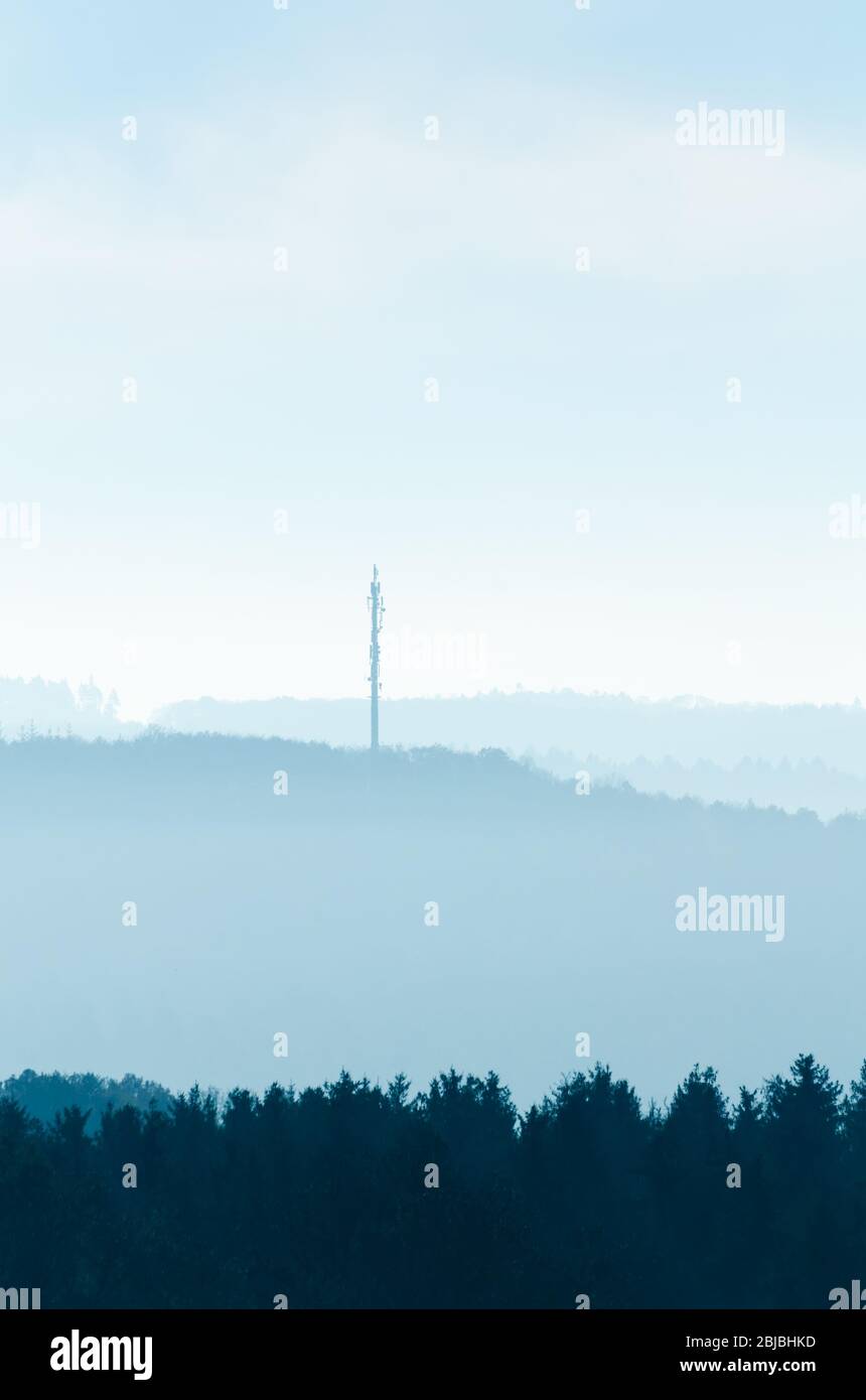 Wald in der ländlichen Landschaft, Westerwald Wälder in Rheinland-Pfalz, Deutschland, Westeuropa Stockfoto