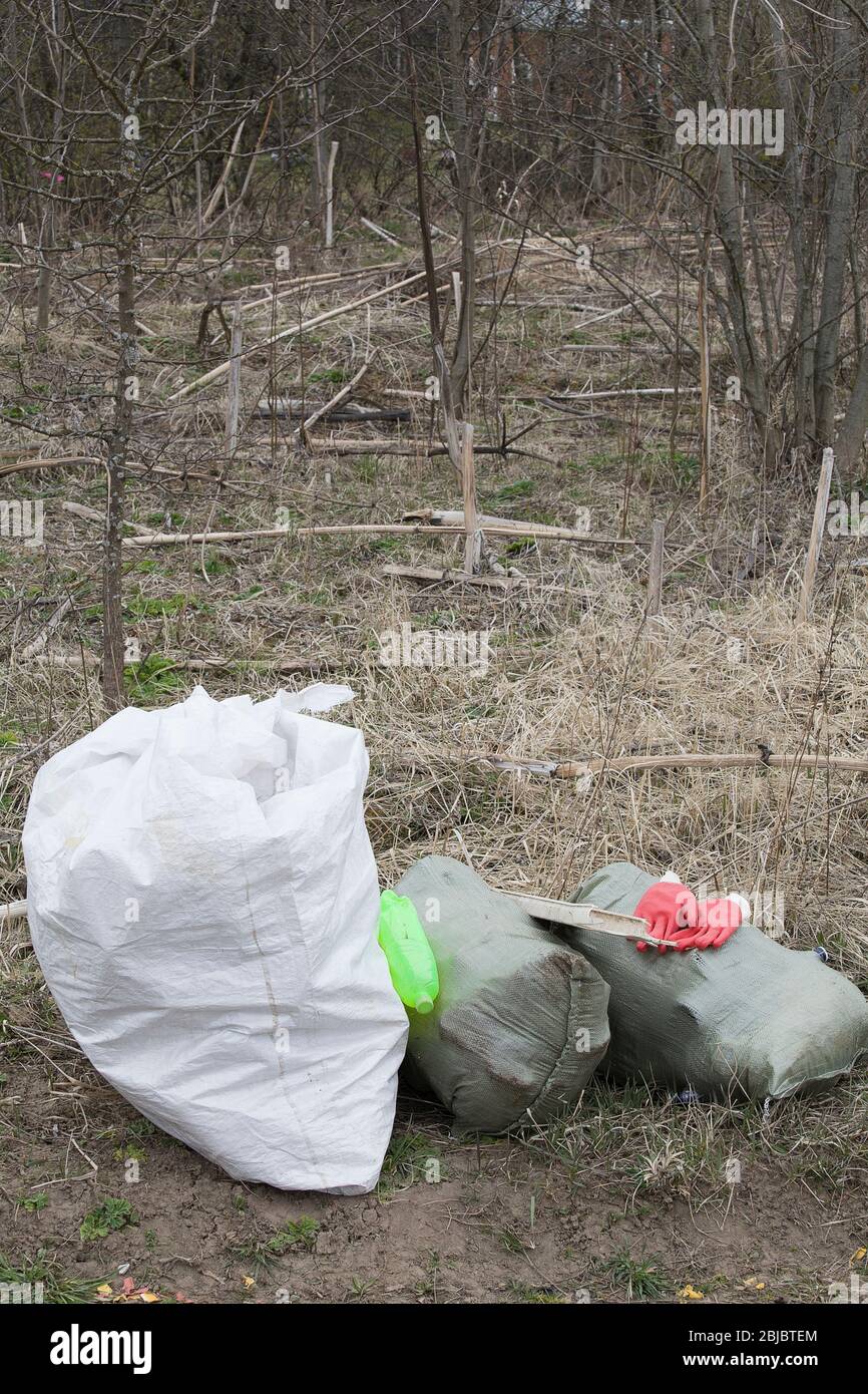 Müllsäcke mit Müll im Wald. Reinigung des Waldes. Umweltschutz Umweltverschmutzung Probleme, Plastikmüll Pflege der Natur Konzept Stockfoto