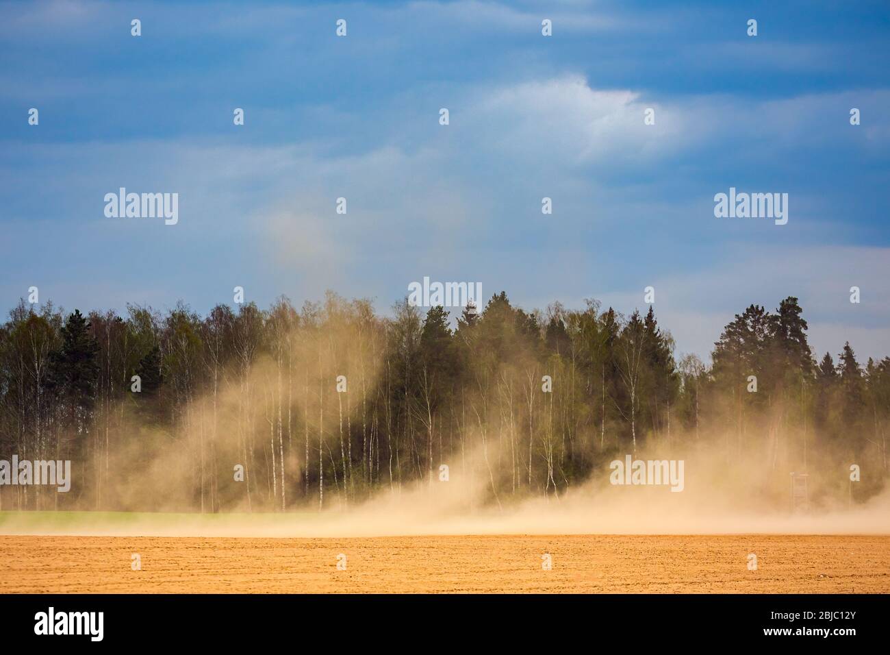 Staubsturm auf trockenen Feldern, trockenes Wetter durch den Klimawandel Stockfoto