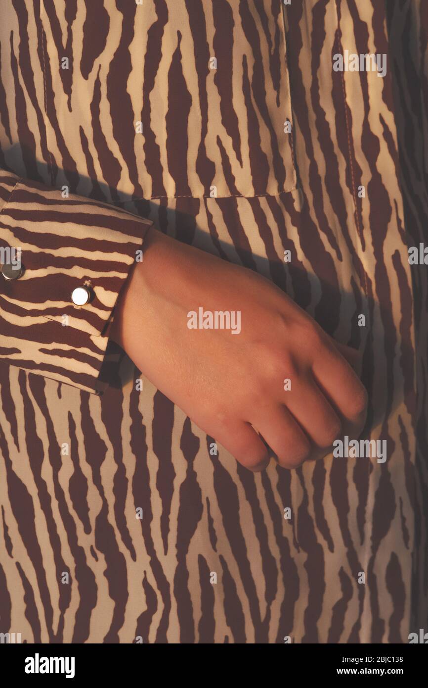 Menschliche Hand in Abendsonne, stylisches Hemd. Frau Körperteile, modische Designer Zebra Muster Kleidung Stockfoto