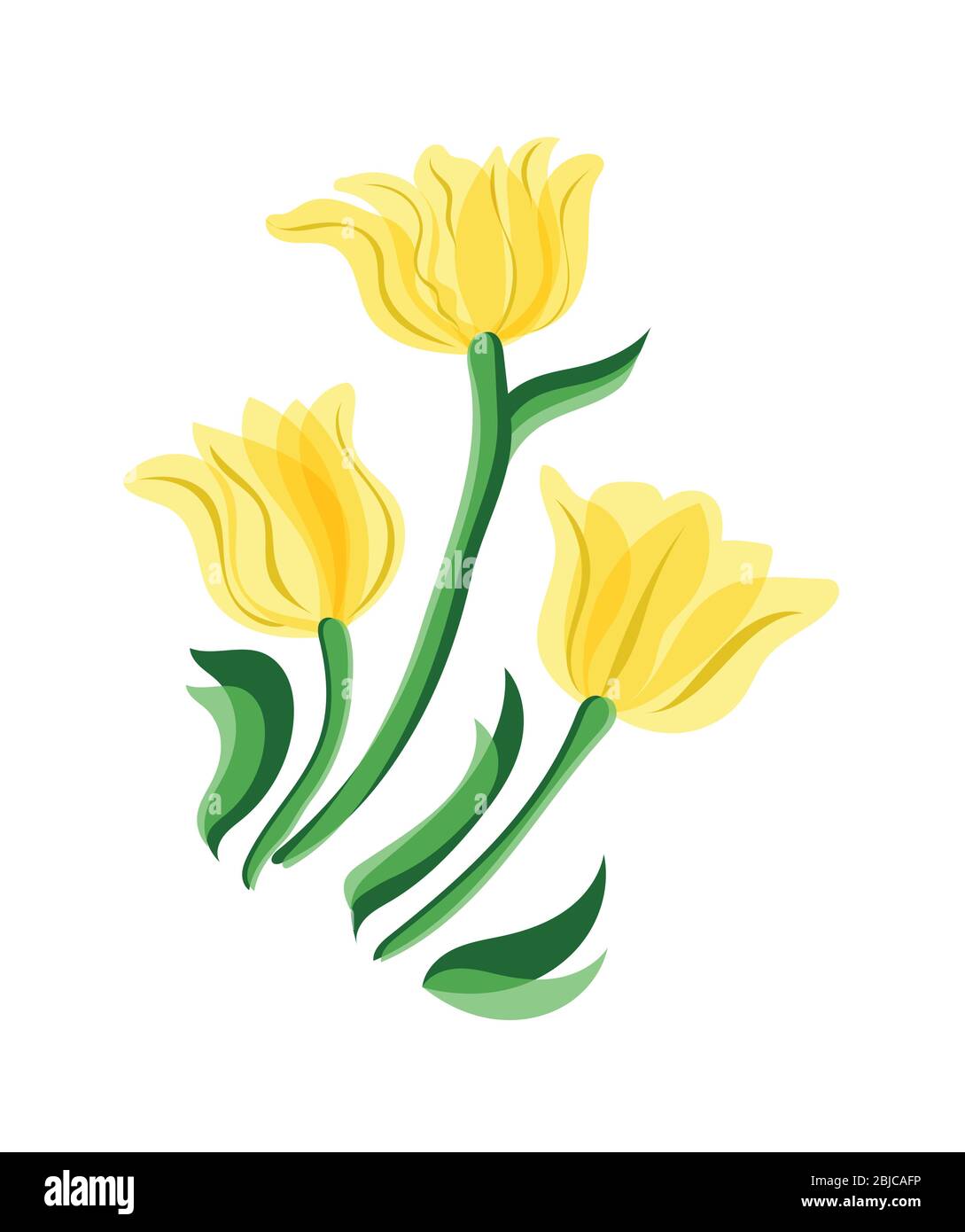 Tulpen isoliert auf weißem Hintergrund. Gelbe Tulpen blühen Stock Vektor