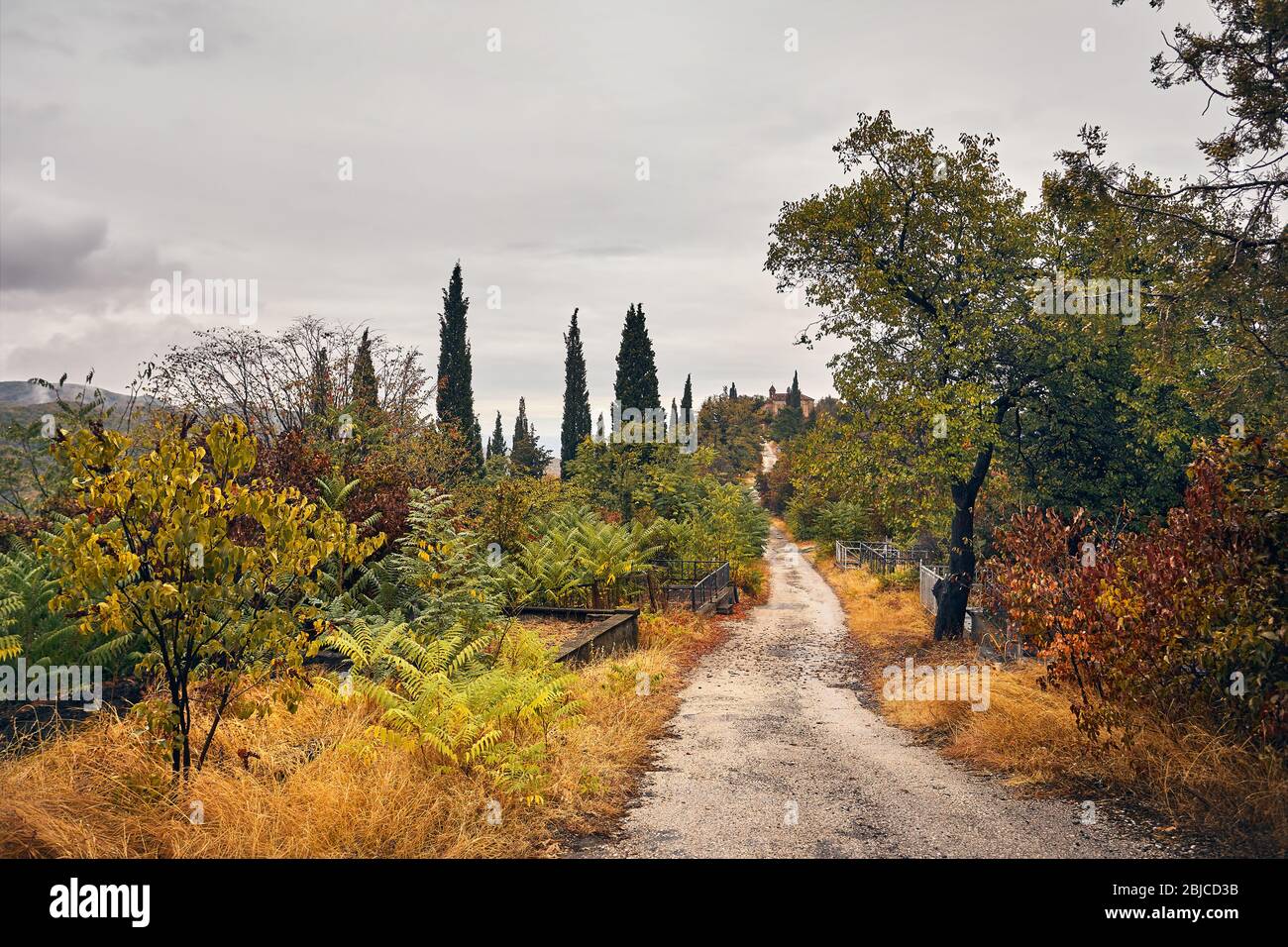Straße an der Kirche in georgischen Friedhof an der Herbst in Signagi, Georgien Stockfoto