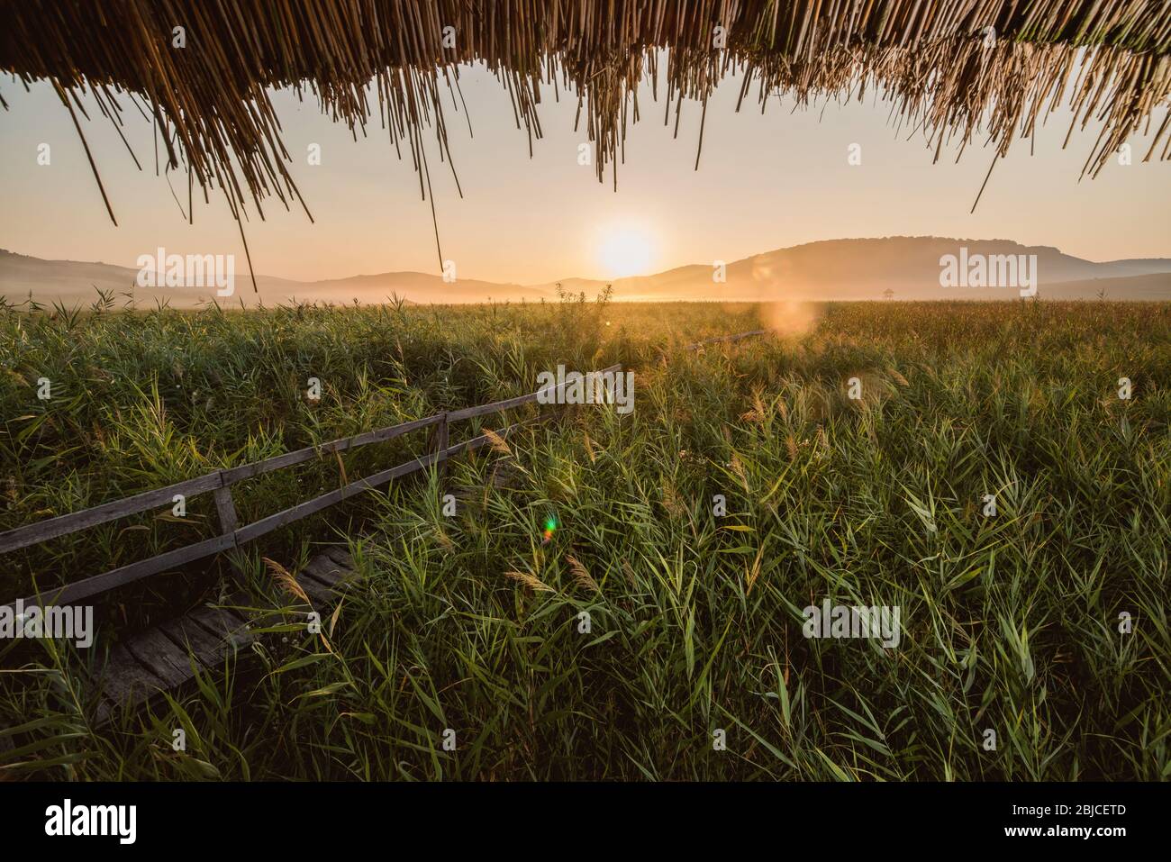 Sonnenaufgang schöne Landschaft mit einer Schilfebene mit einer Holzbrücke, Berge in der Ferne. Rumänische Landschaft am Schilf von sic. Stockfoto