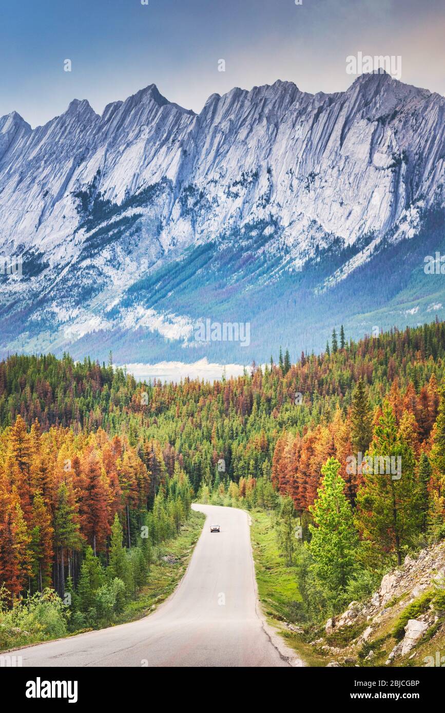 Offener Weg zur Natur, Jasper, Kanada Stockfoto
